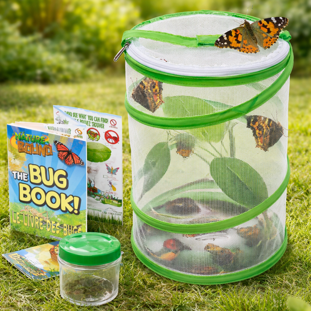 Butterfly Growing Kit