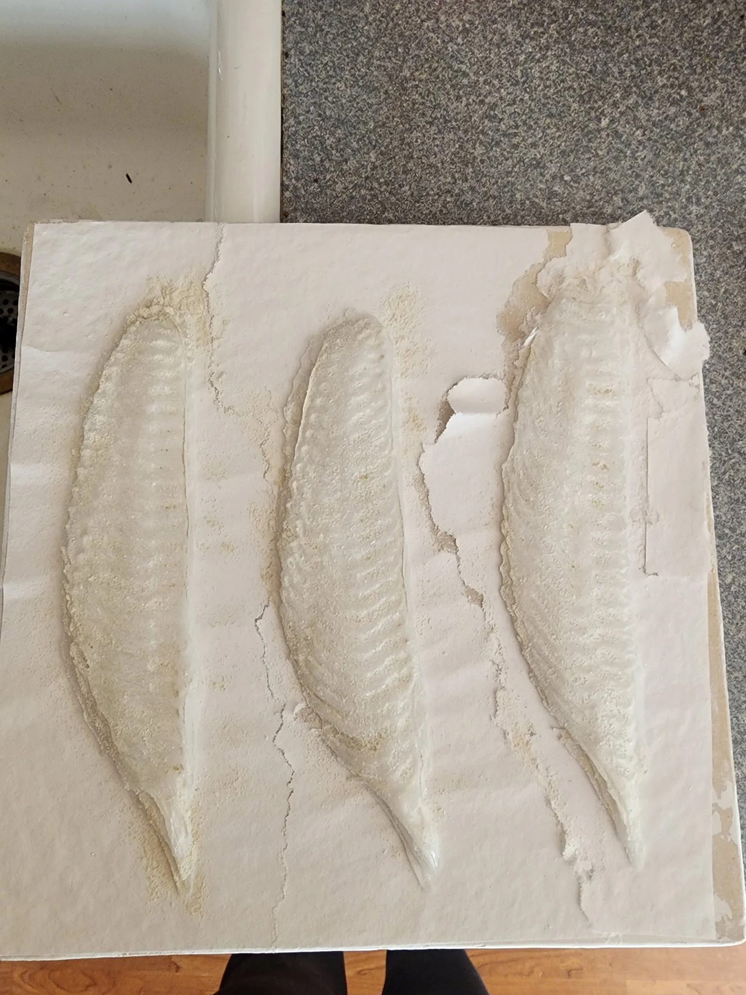 Three raw fish fillets with spacing on a white cutting board.