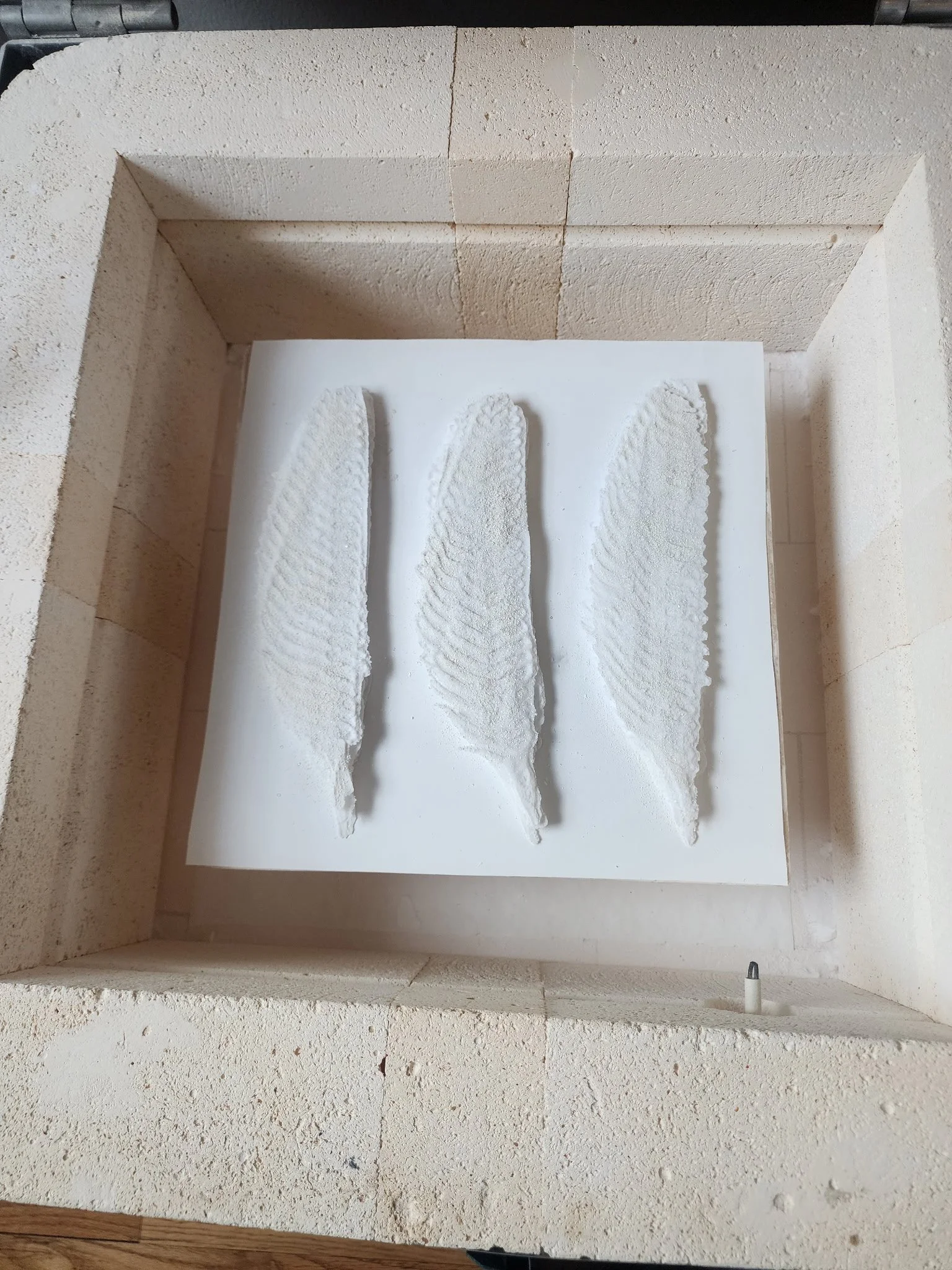 Three white, textured, leaf-shaped sculptures displayed on a white base inside a stone-walled display case.