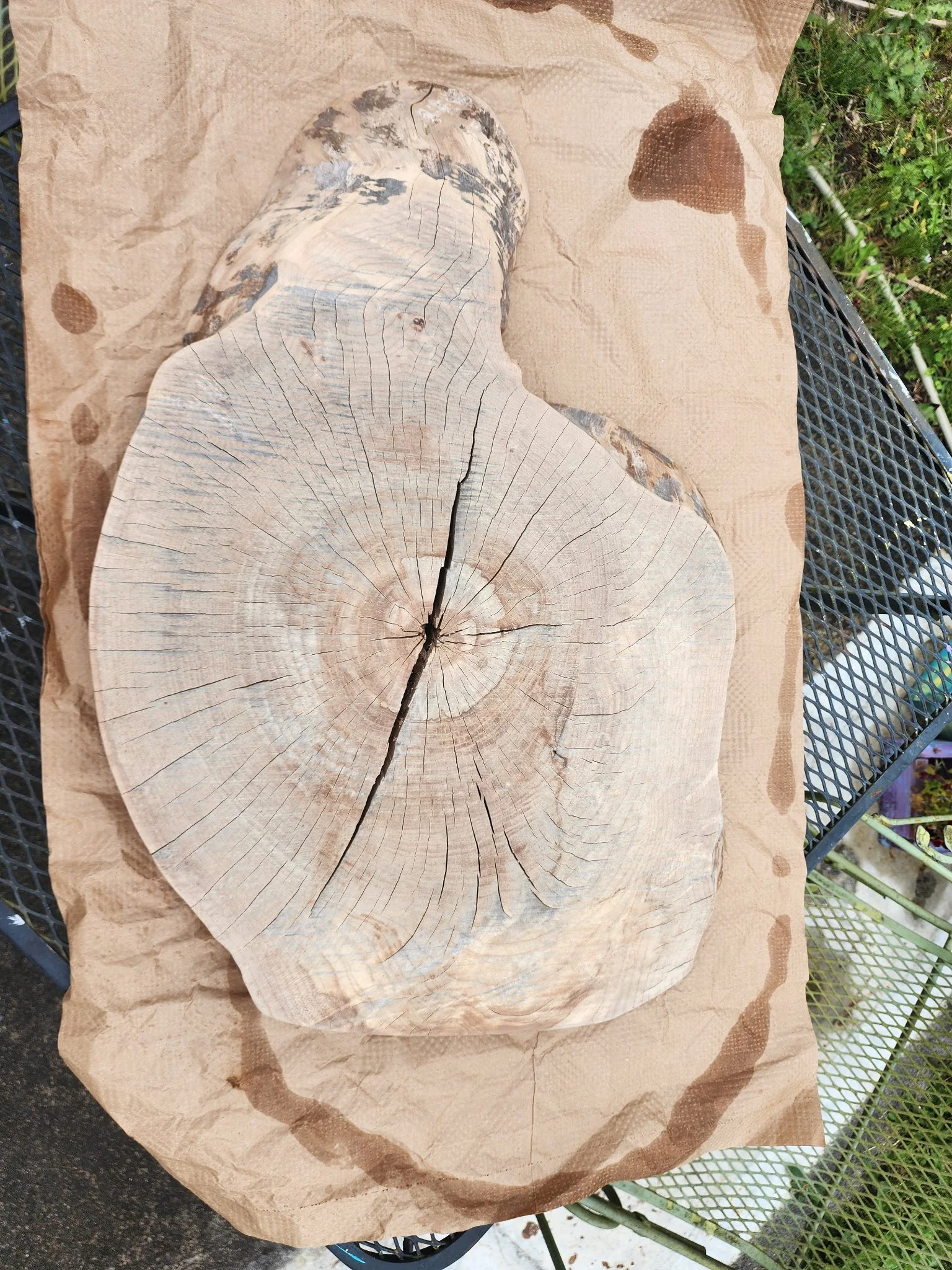 A piece of cut wood with visible grain and cracks, lying on brown paper with wet spots, on a black wire mesh table outdoors.