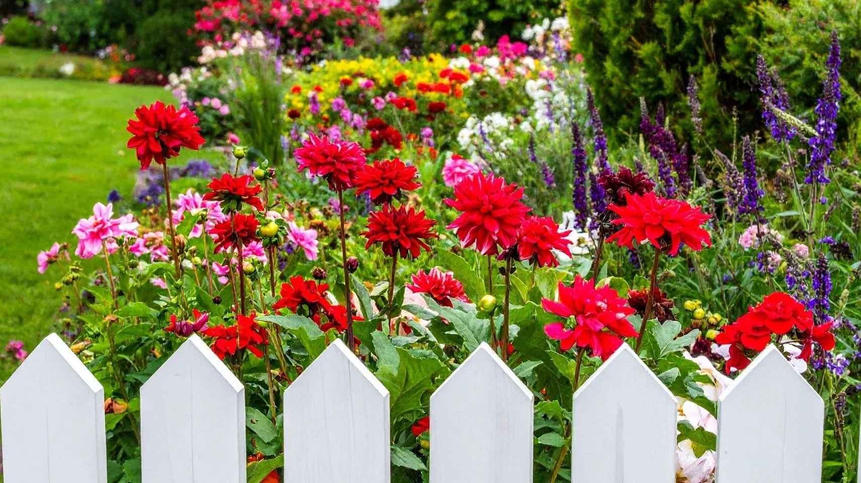 horticultural consultant assessing plant health in Peabody Massachusetts