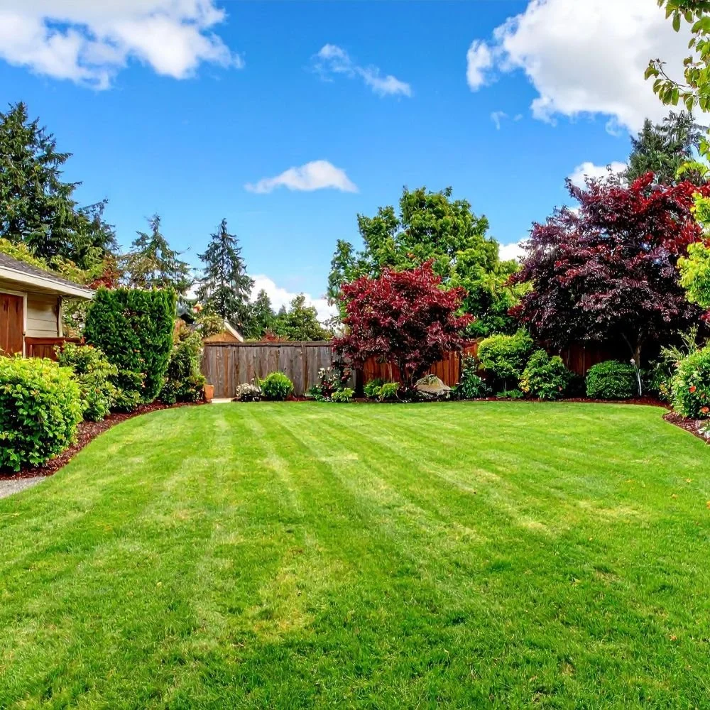 garden consultation walkthrough with homeowner in Peabody MA