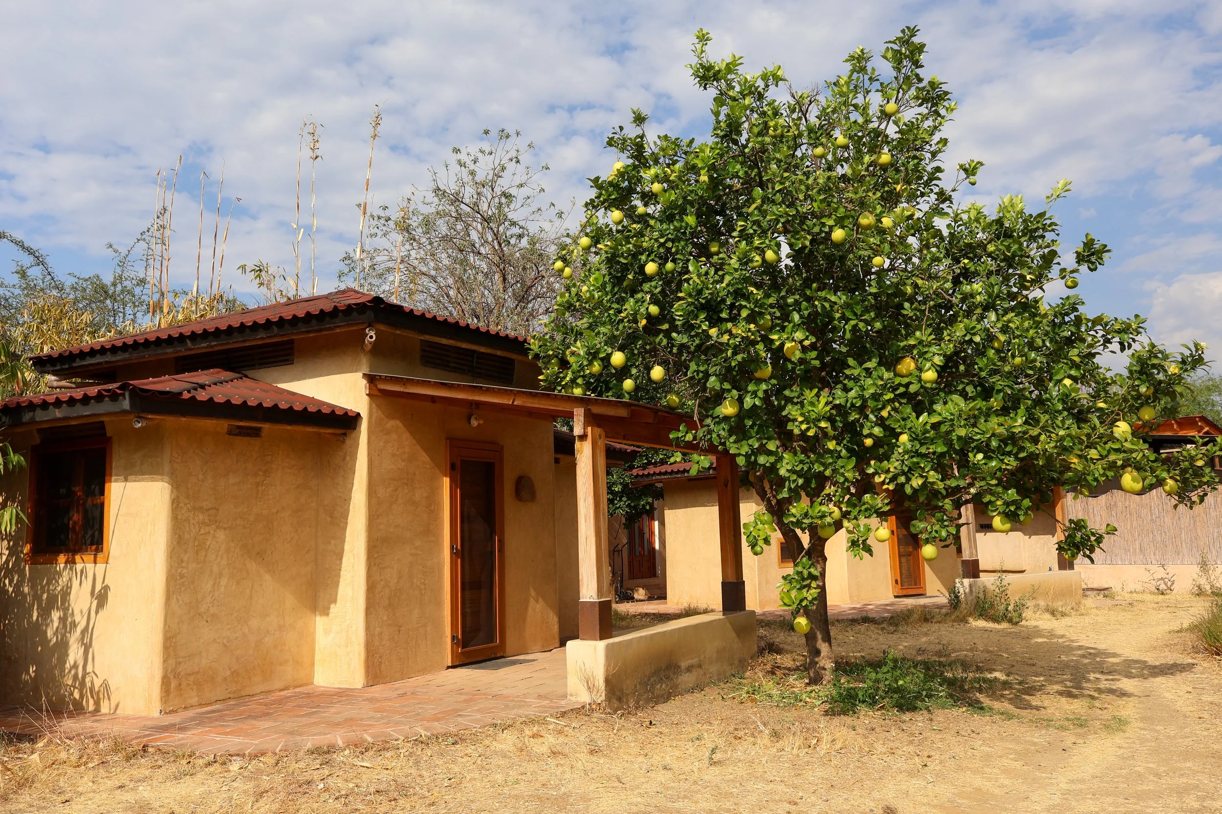 agave-estancias-bioconstruccion-tierra-del-sol-oaxaca.jpg