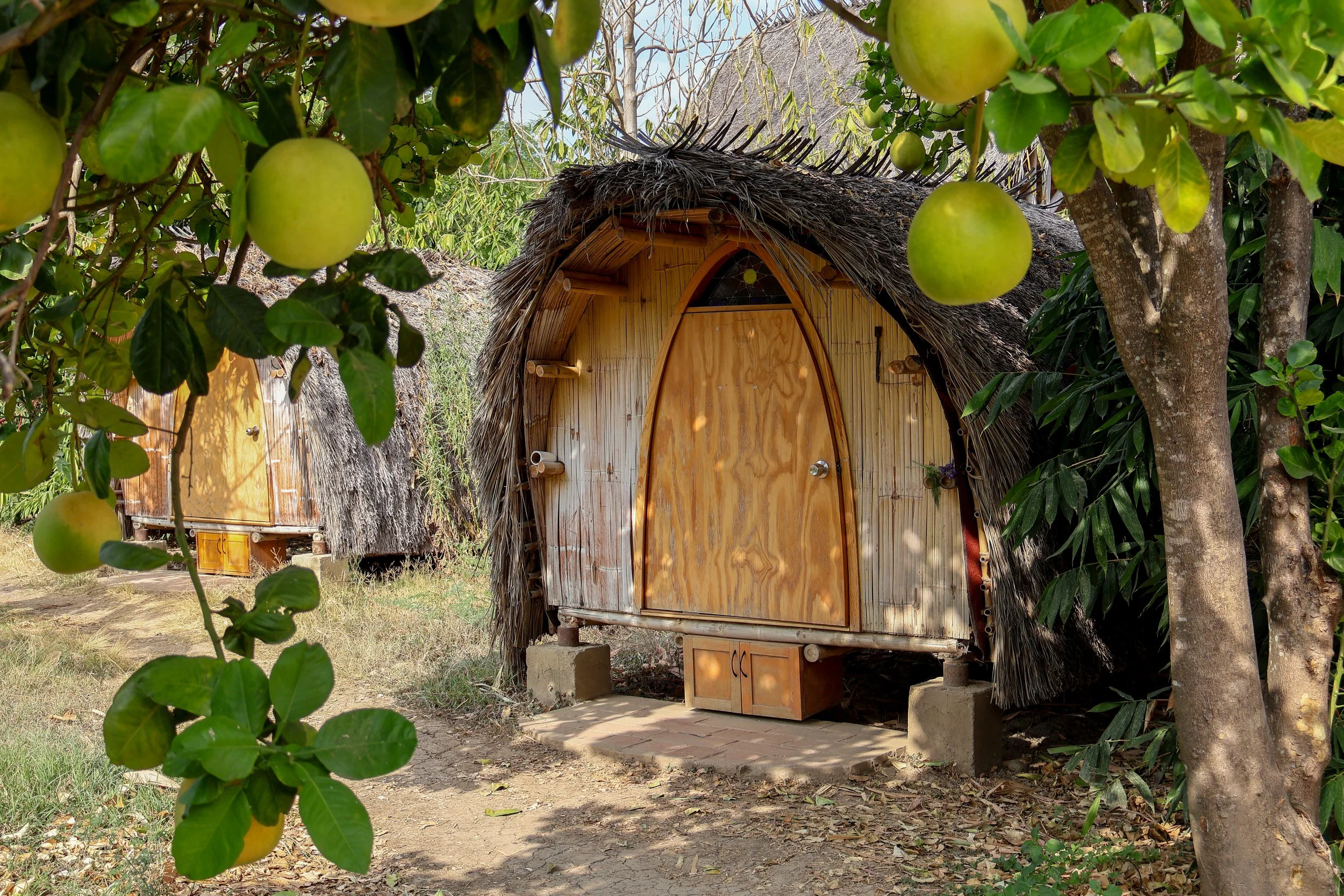 capullos-bioconstruccion-tierra-del-sol-oaxaca.jpg
