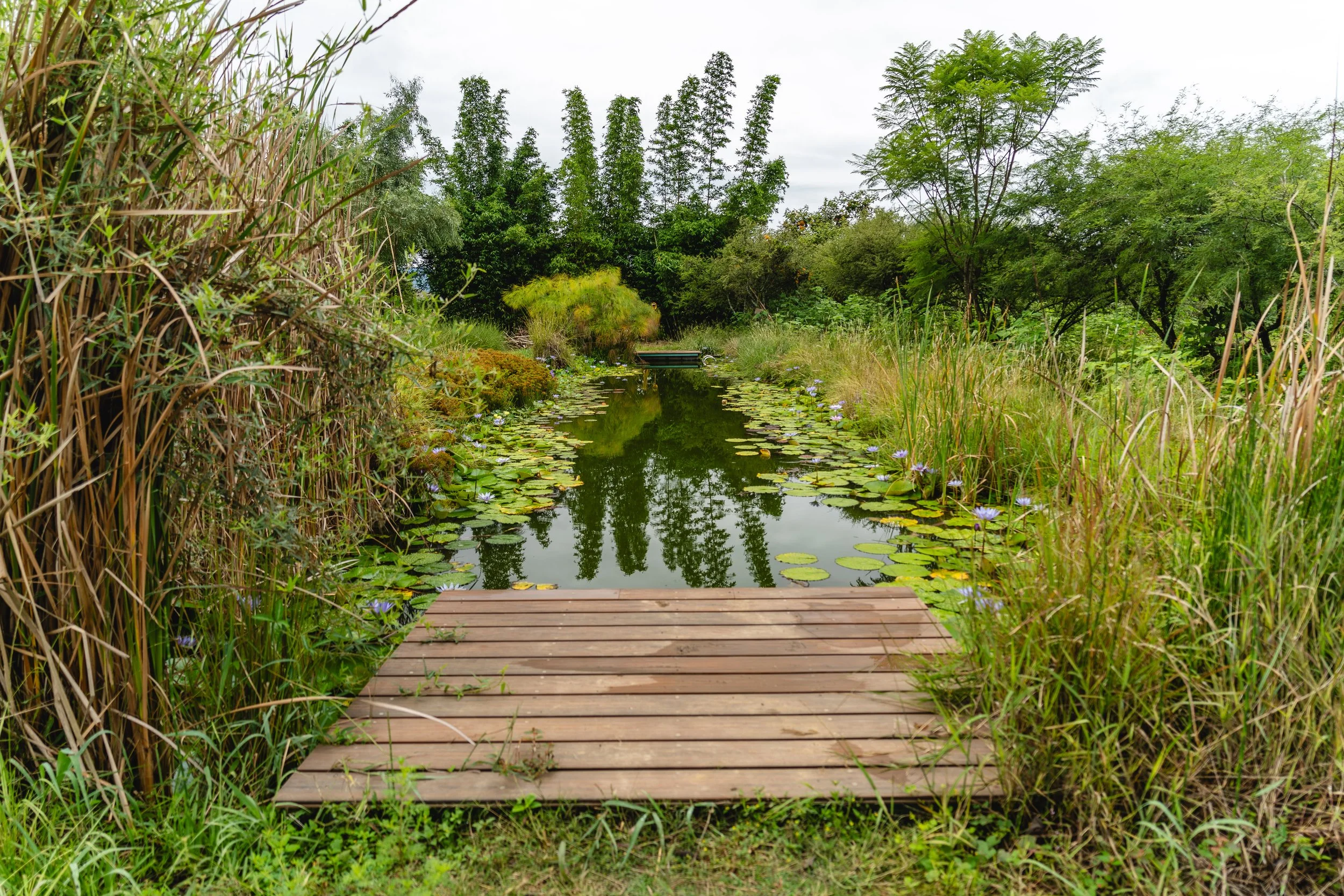 deck-estanque-natural-tierra-del-sol-oaxaca.JPG
