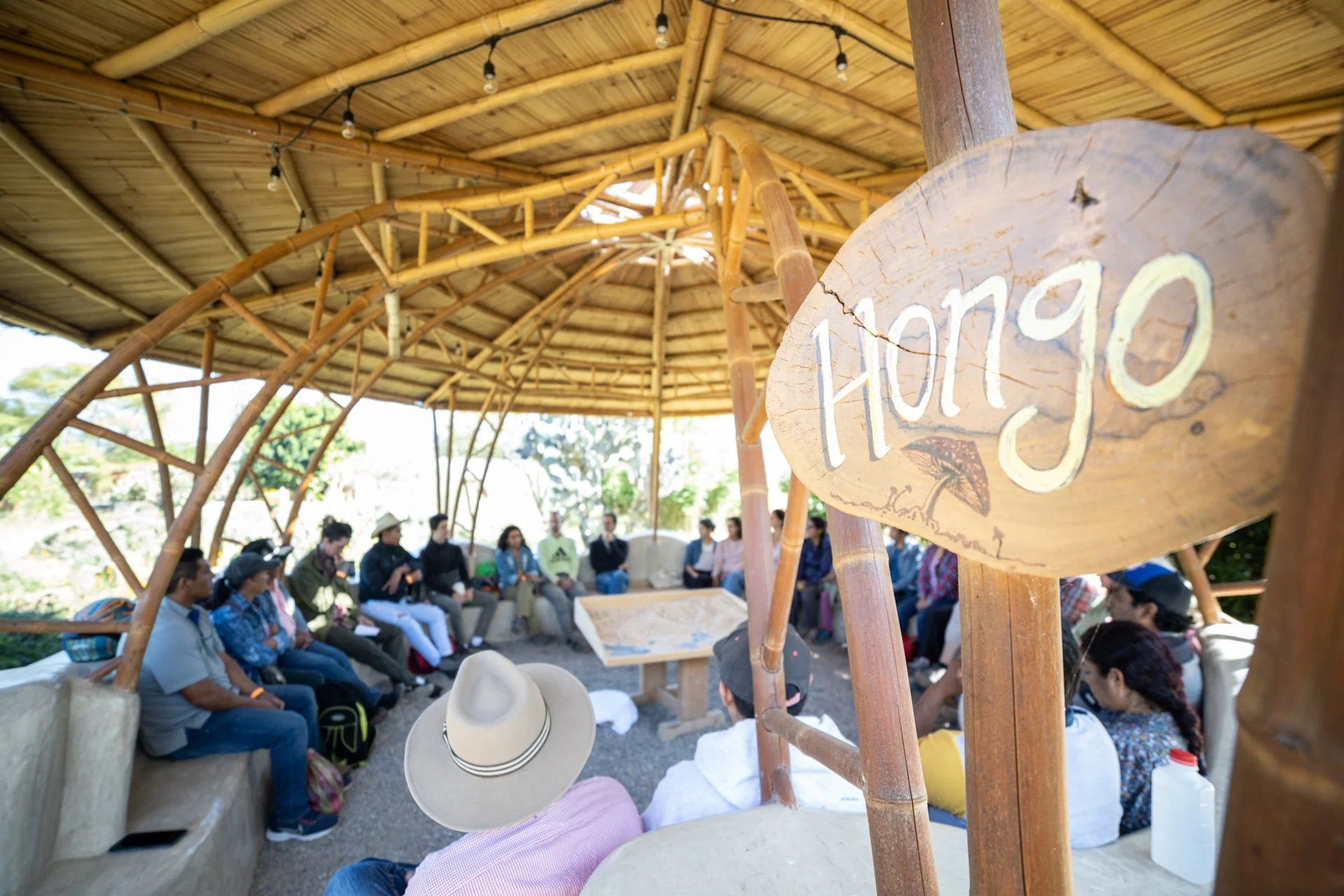 hongo-biocontruccion-tierra-del-sol-oaxaca.jpg