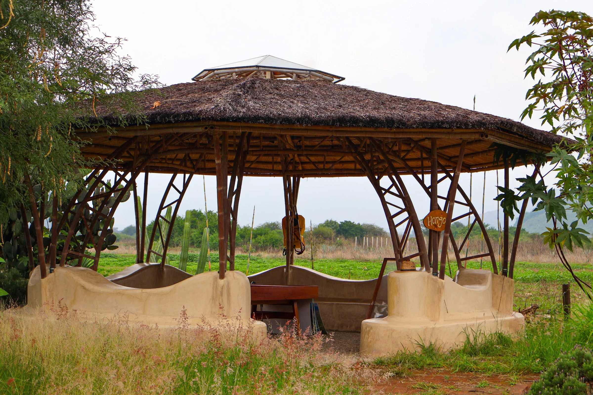 hongo-biocontruccion-tierra-del-sol-oaxaca.jpg