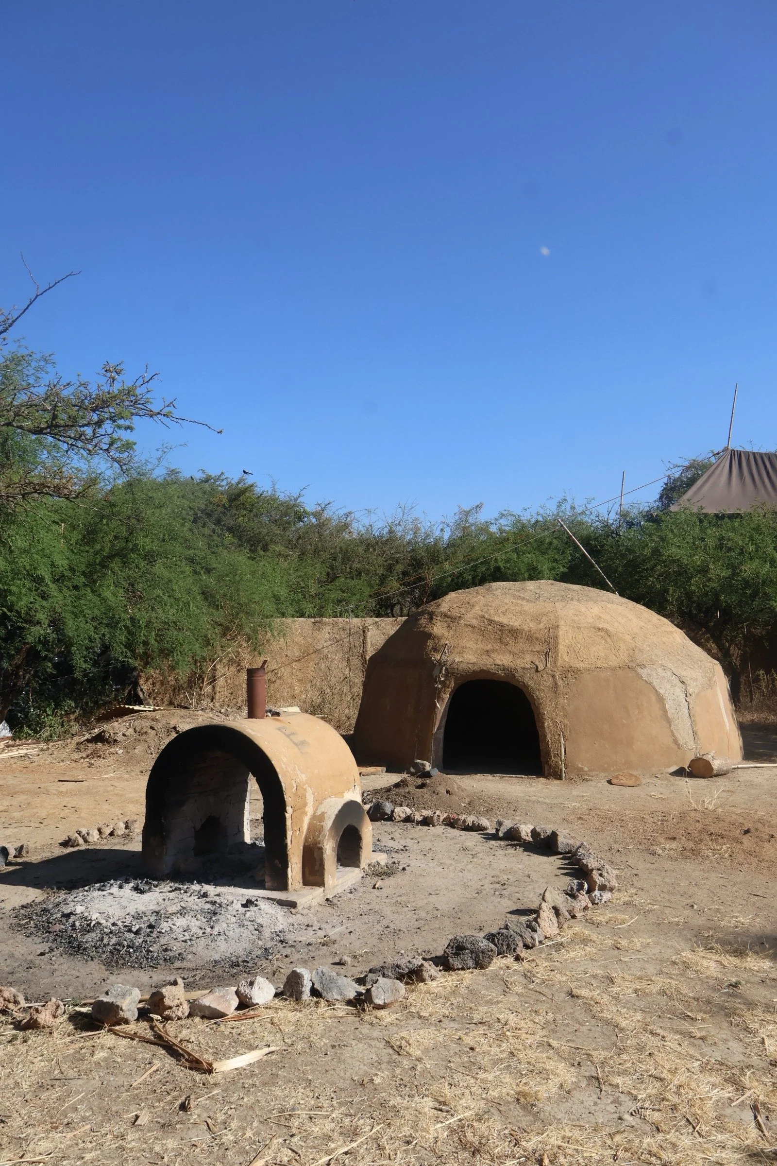 Casa de barro redonda con entrada en la parte frontal, en un área rodeada de tierra y algunos roedores, con vegetación seca y árboles en el fondo, bajo un cielo azul con la luna visible.
