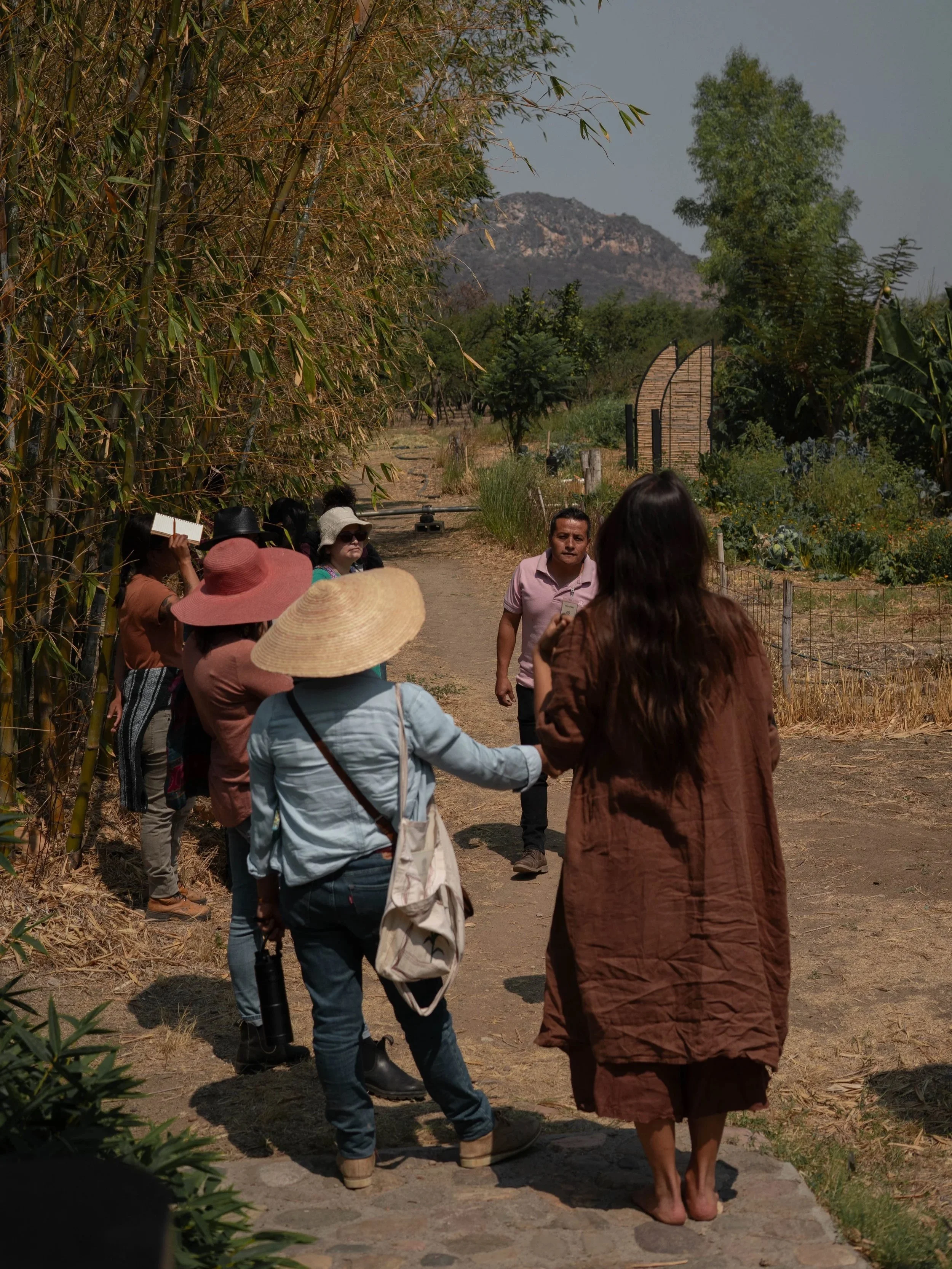 Visita guiada Tierra del sol a empresa regenerativa con agroforestería sintropico, agricultura regenerativa, diseño bioclimático y sistemas basados en la naturaleza farmtour Oaxaca