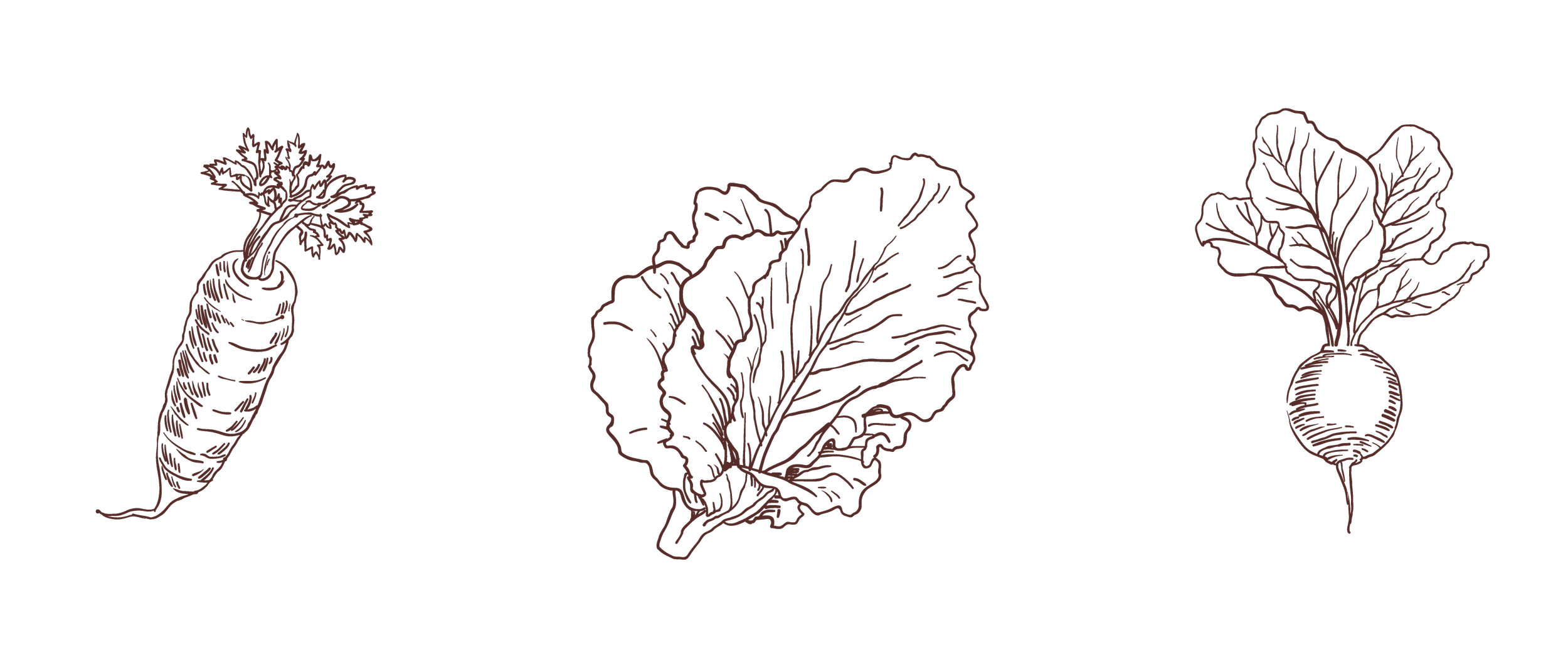 Ilustraciones lineales en color marrón de una zanahoria, una hoja de lechuga y una remolacha sobre fondo negro.