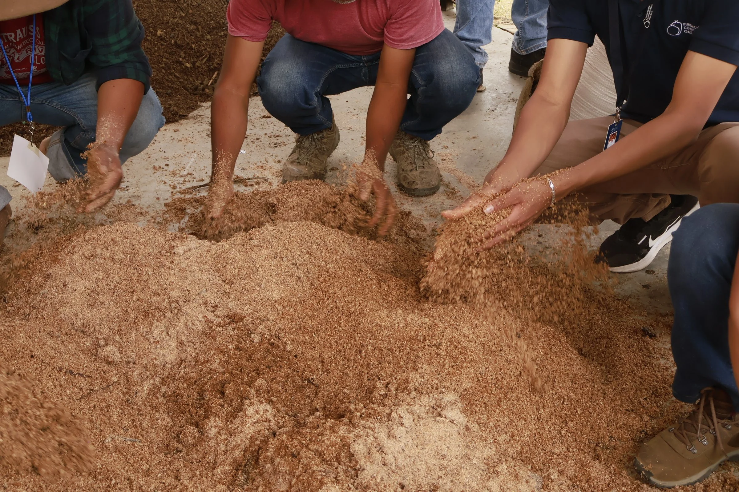 TALLER DE ELABORACIÓN DE ABONOS (BOCASHI O COMPOSTA TIBIA)