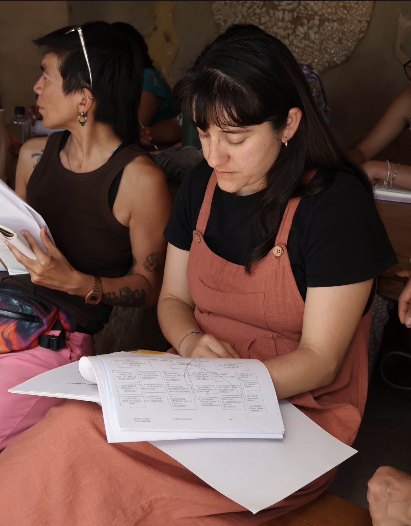 Estancias profesionales en Tierra del Sol, aprende sobre regeneración