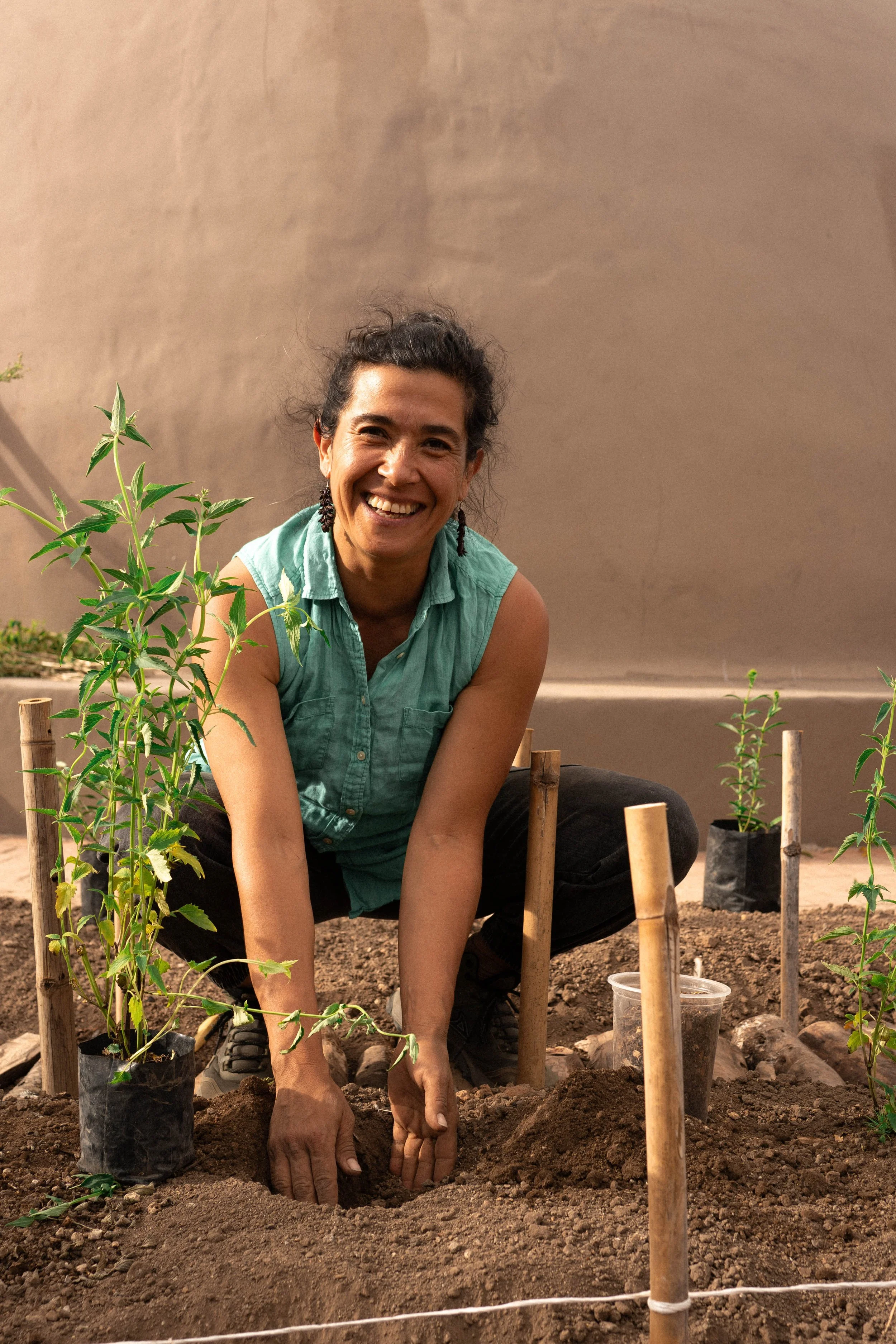 En el huerto de plantas flores y hierbas medicinal hecho segun les principio de la agroforesteria sintropica un metodología de agricultura regenerativa