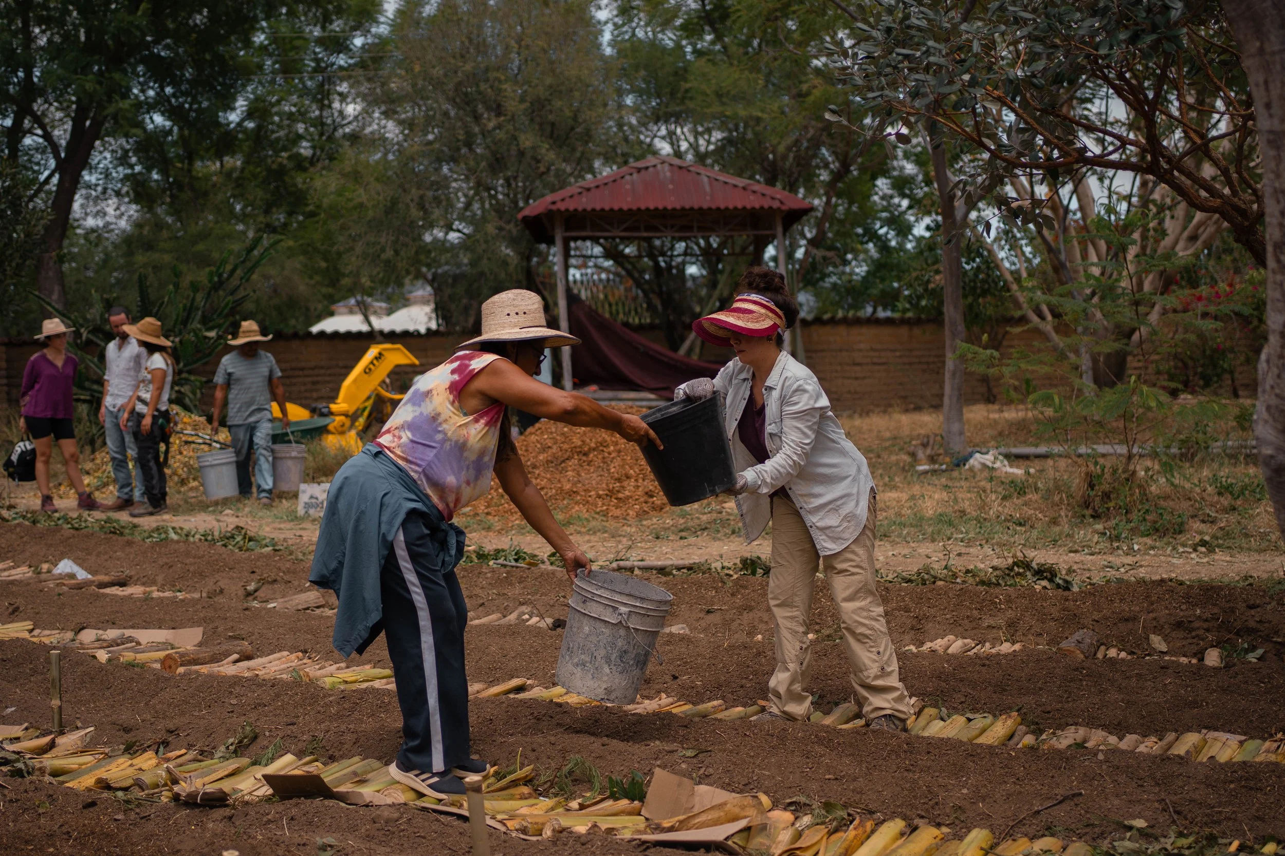 En el huerto de plantas flores y hierbas medicinal hecho segun les principio de la agroforesteria sintropica un metodología de agricultura regenerativa