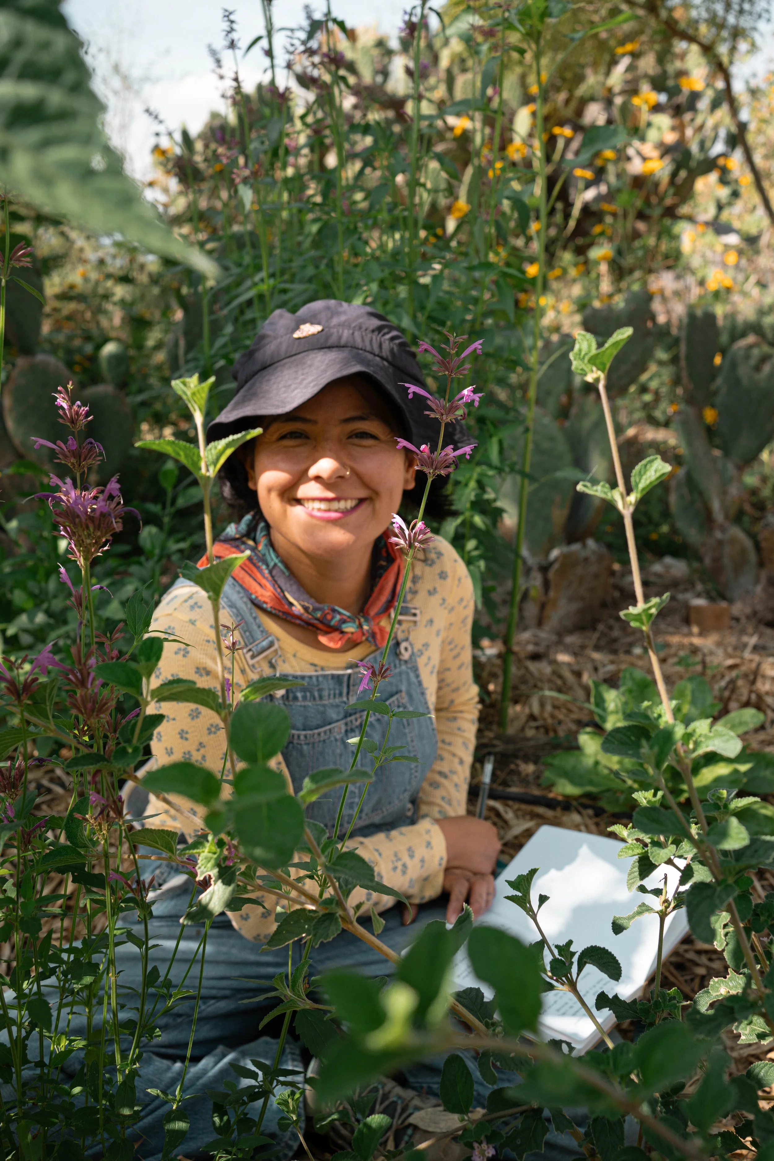 En el huerto de plantas flores y hierbas medicinal hecho segun les principio de la agroforesteria sintropica un metodología de agricultura regenerativa