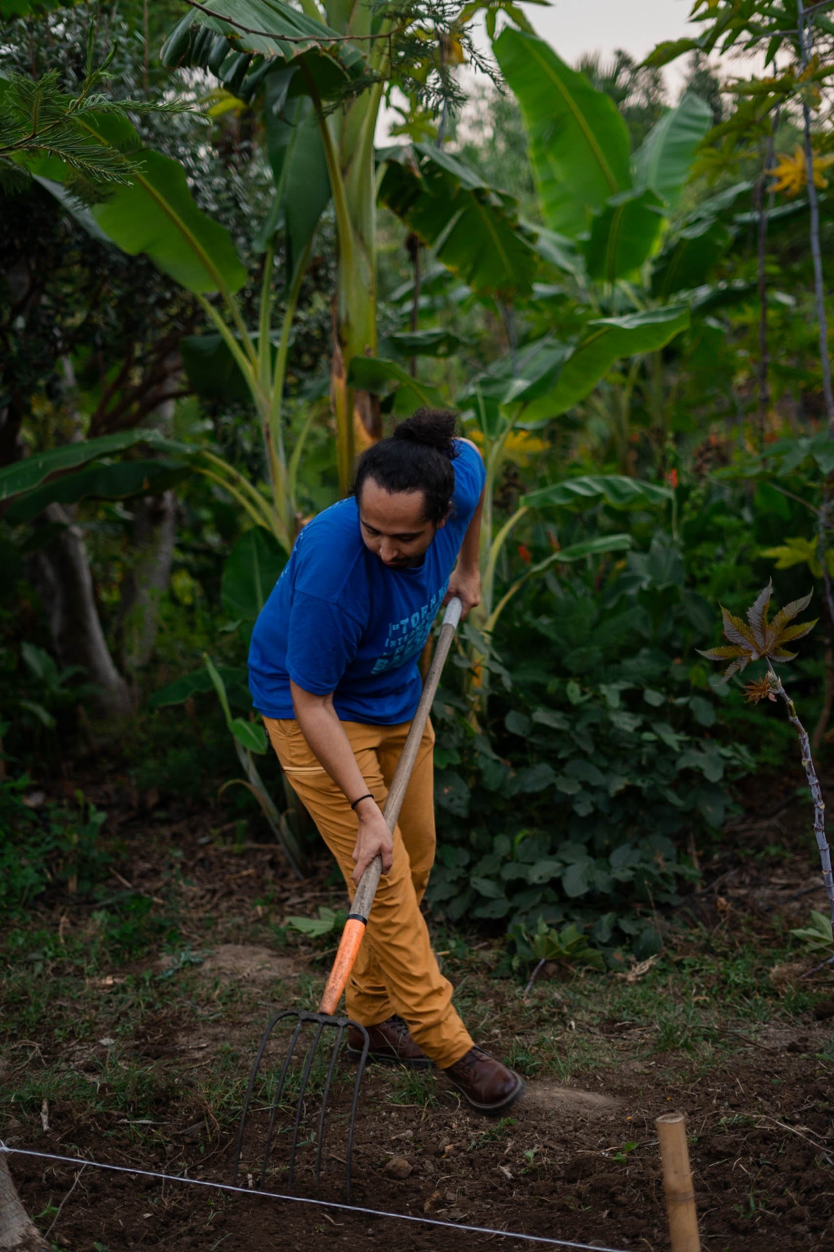 En el huerto de plantas flores y hierbas medicinal hecho segun les principio de la agroforesteria sintropica un metodología de agricultura regenerativa