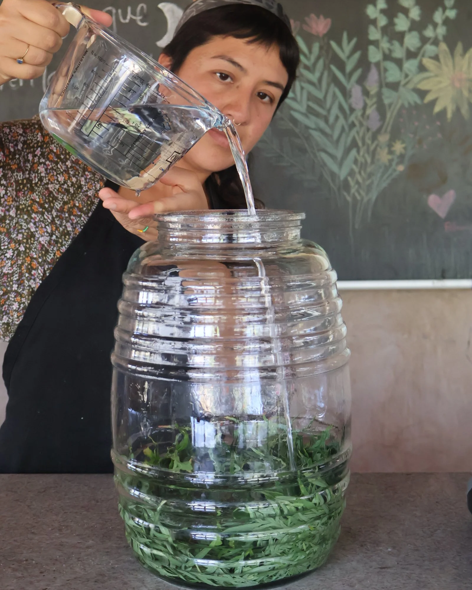 TALLER DE ELABORACIÓN DE TINTURA MADRE MEDICINAL