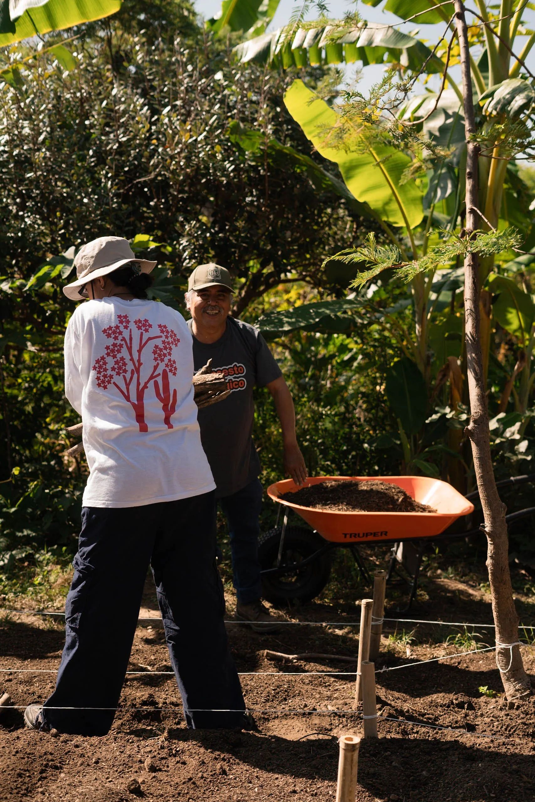 En el huerto de plantas flores y hierbas medicinal hecho segun les principio de la agroforesteria sintropica un metodología de agricultura regenerativa