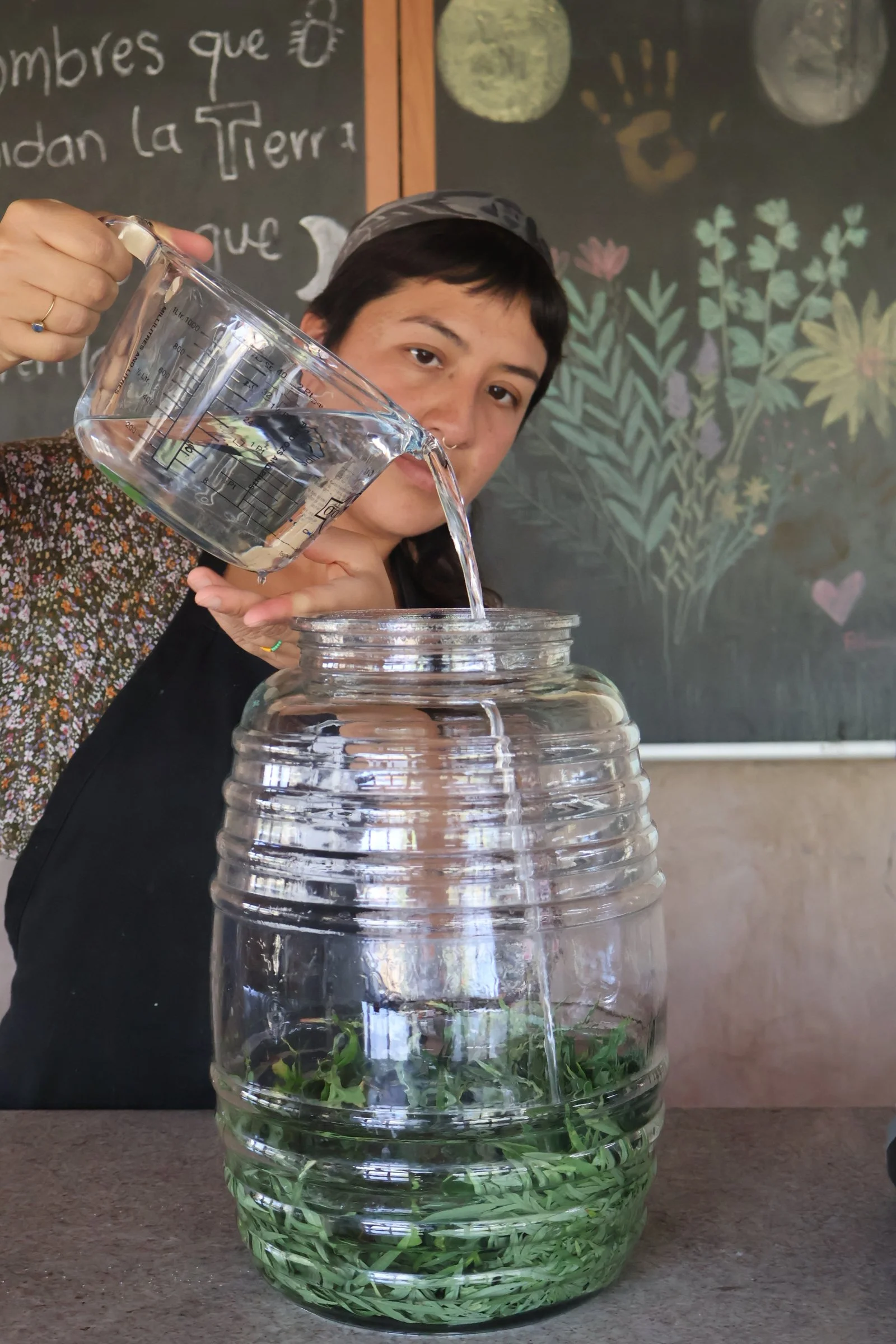 TALLER DE ELABORACIÓN DE TINTURA MADRE MEDICINAL