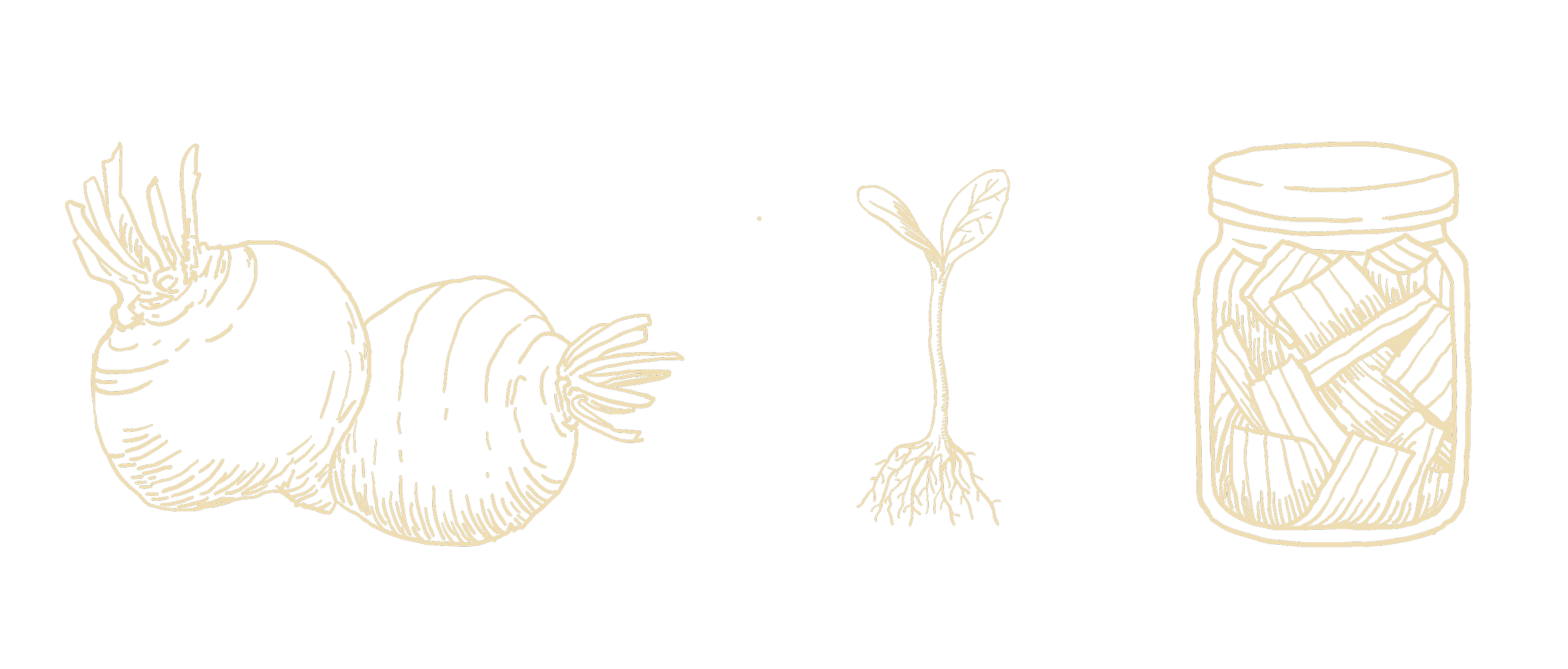 Ilustración de zanahorias y una planta en crecimiento, y un frasco de pasta de zanahoria.