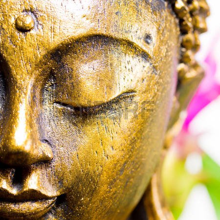 Wise Women's Wellness - Spring Mountain Medicine Retreat