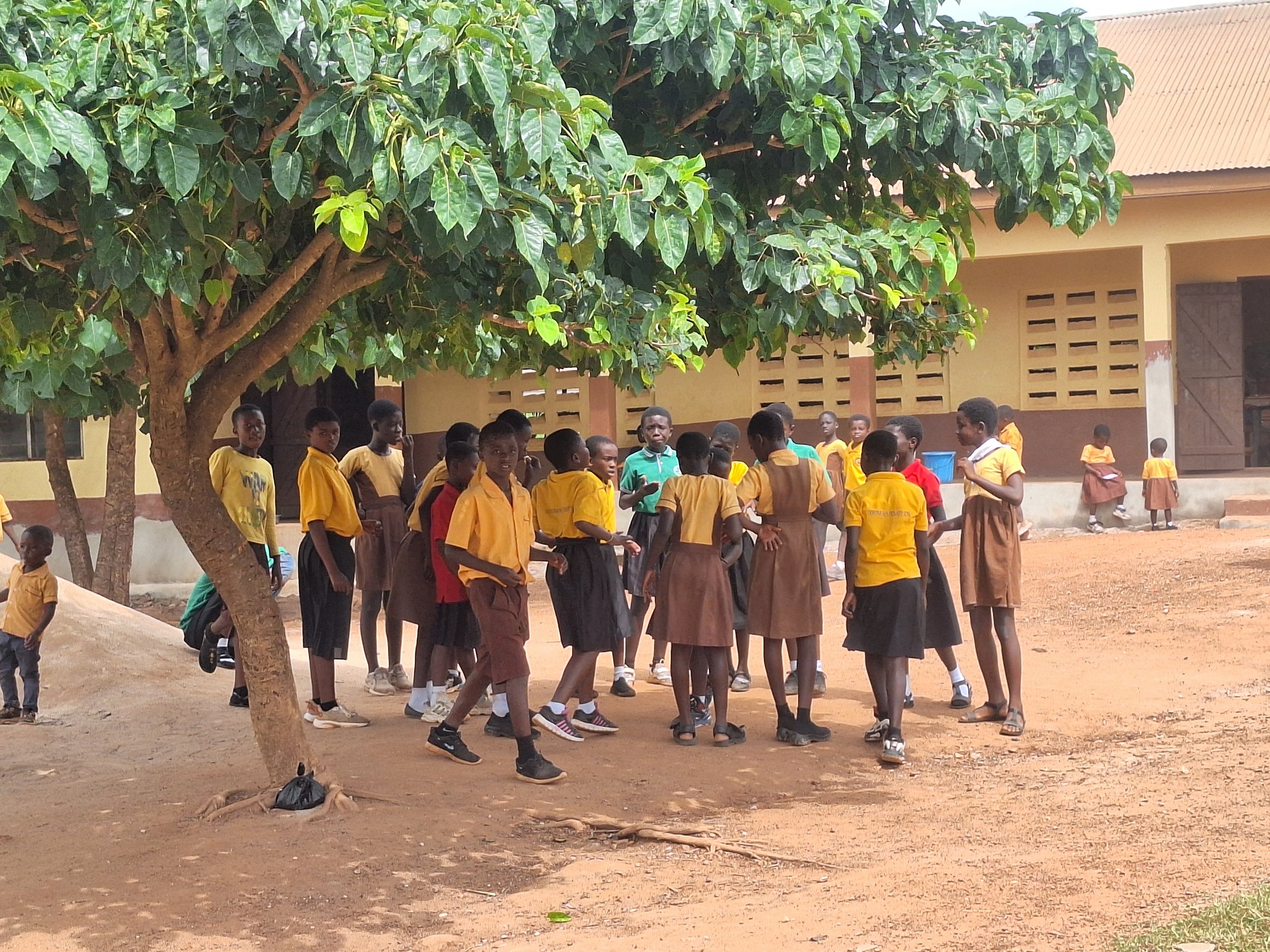 A group of children wearing yellow and brown school uniforms gathered outdoors under a large tree, with a school building in the background.