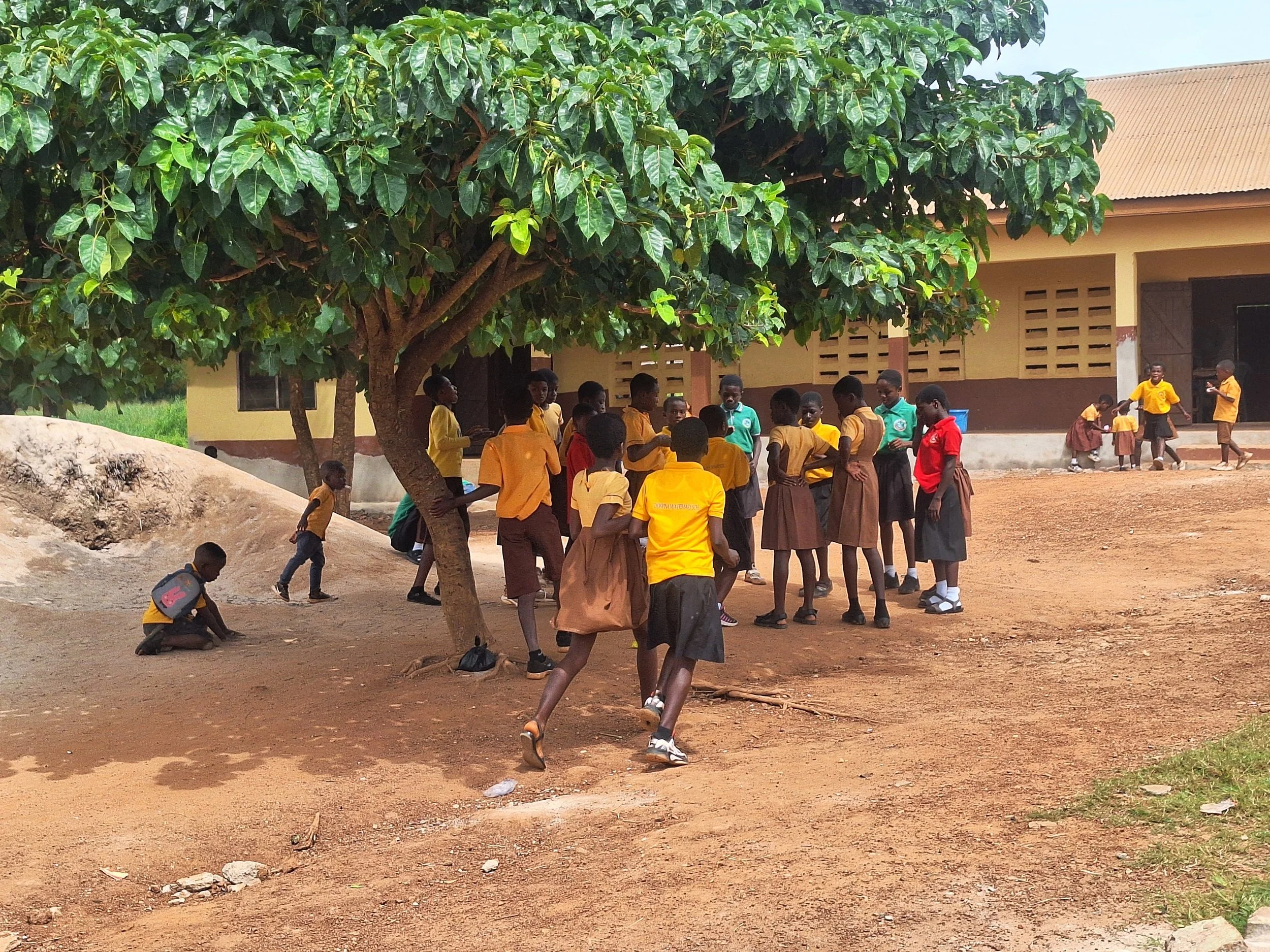 Children in school uniform playing and socializing outside a school building with a large tree providing shade.