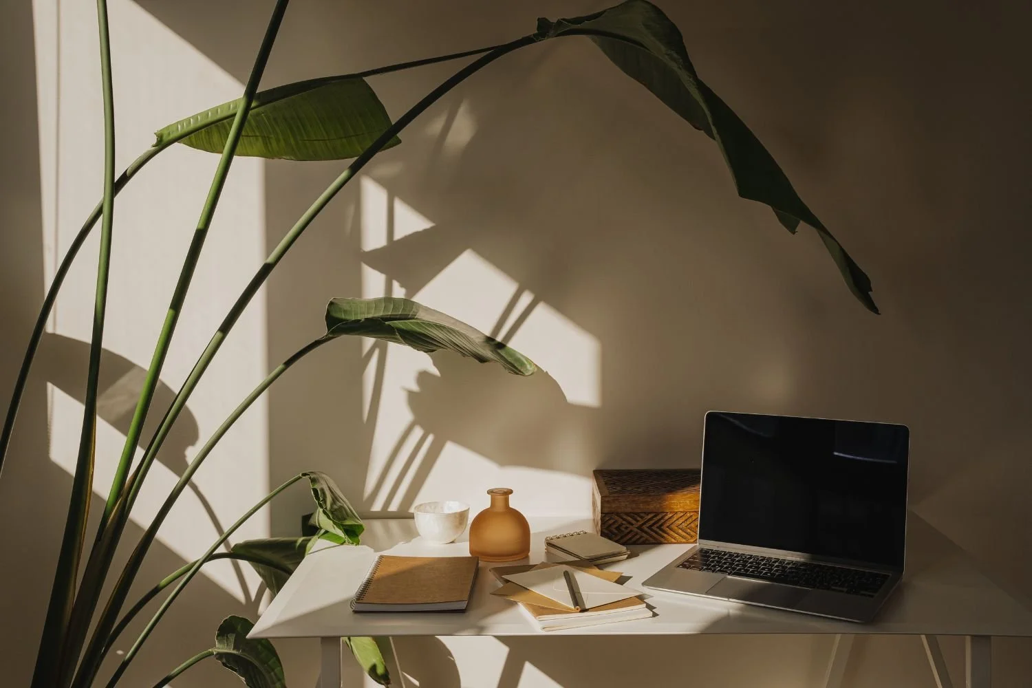 A white desk with notebooks, paper, a laptop, a small bowl, a brown vase, and a wooden box, illuminated by sunlight casting shadows of large green leaves on a beige wall.