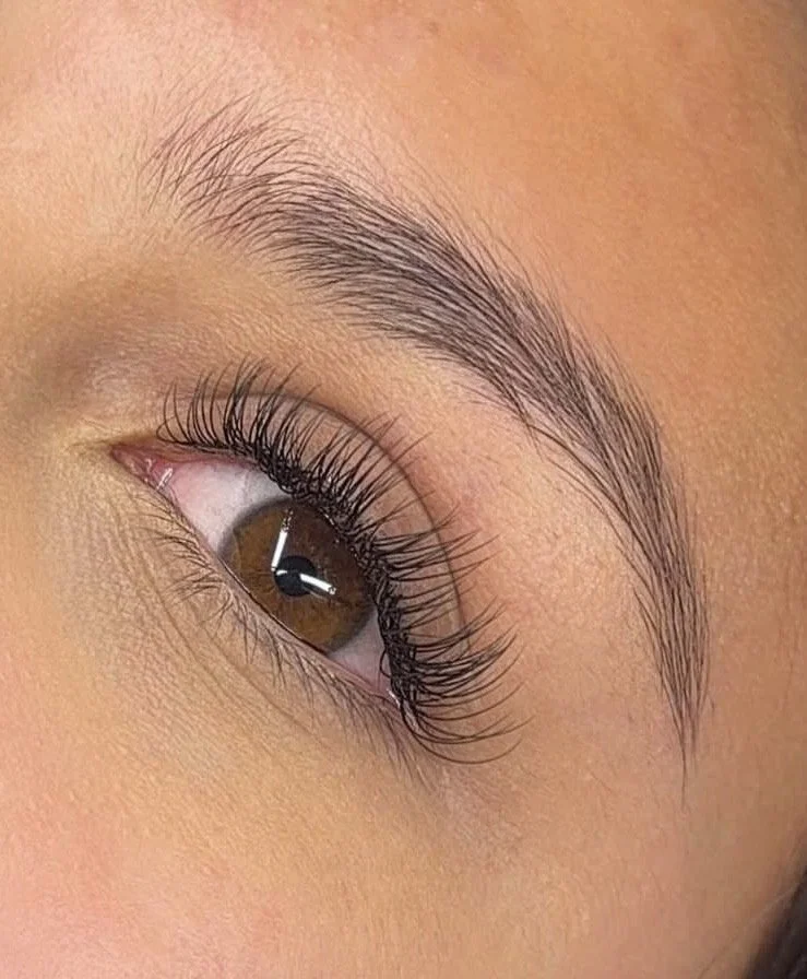 Close-up of a human eye with brown iris, long eyelashes, and well-groomed eyebrow.
