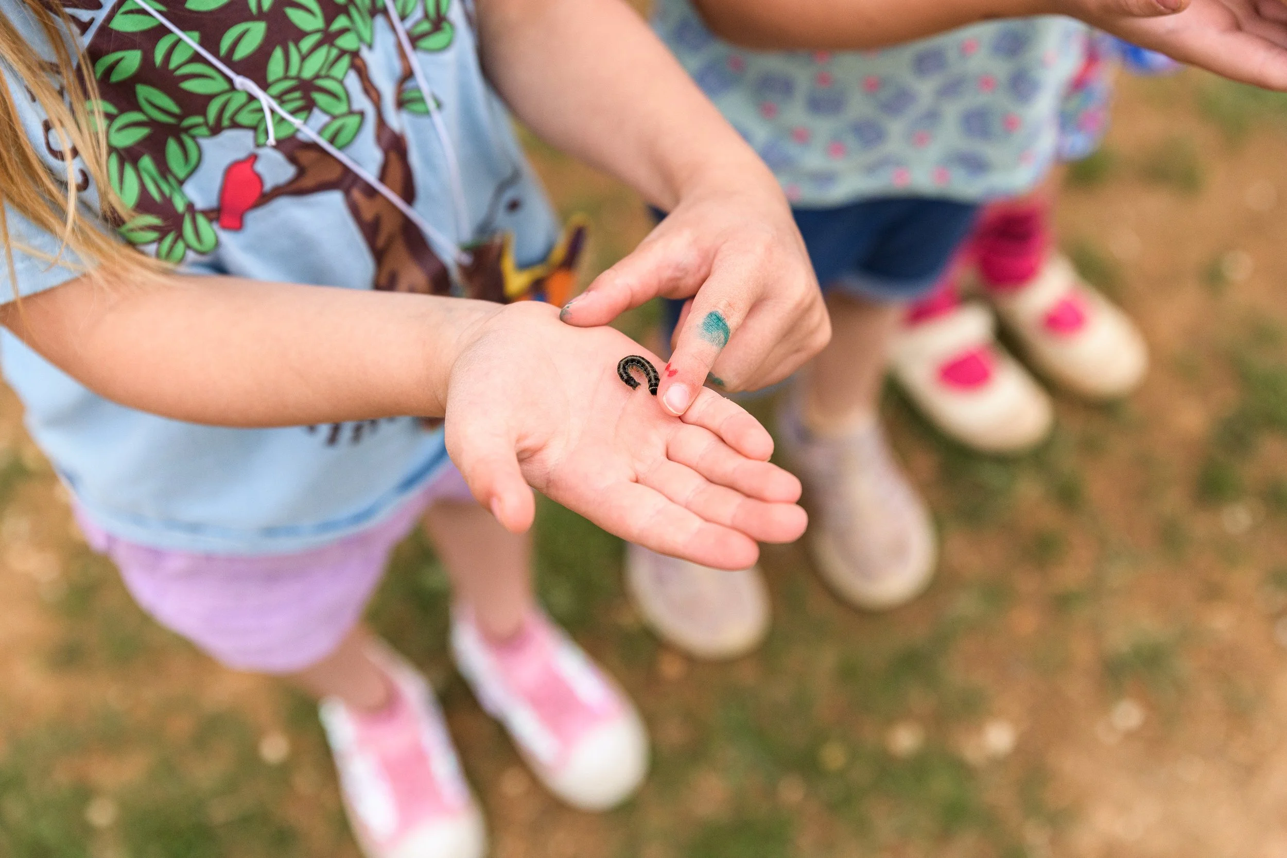 Children outdoors with one child holding a small black caterpillar.