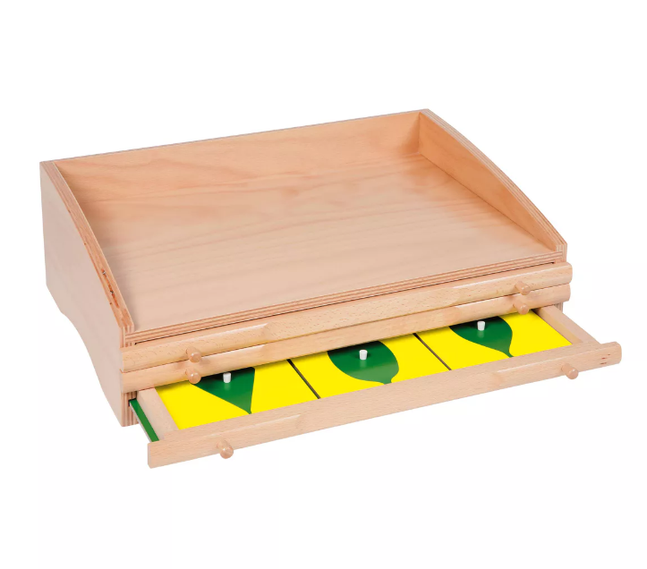 Botany Cabinet