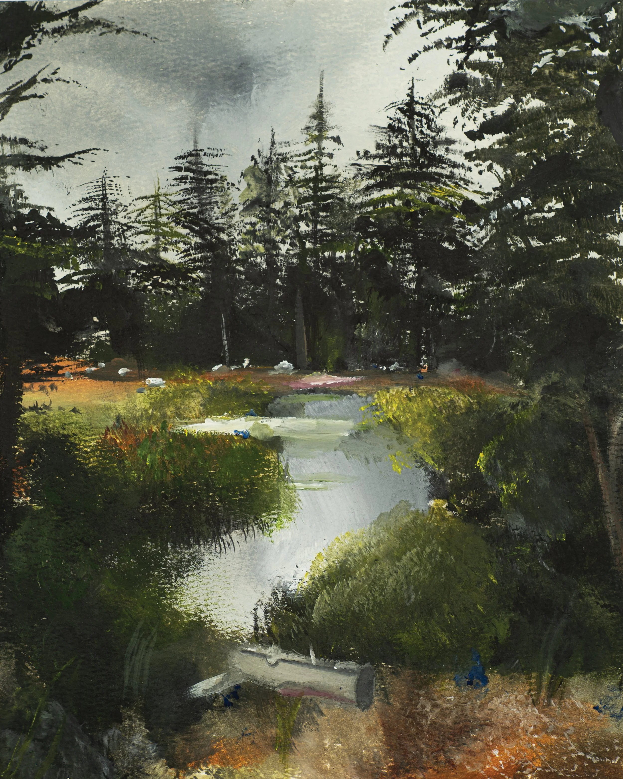 Beth's Uinta Forest River