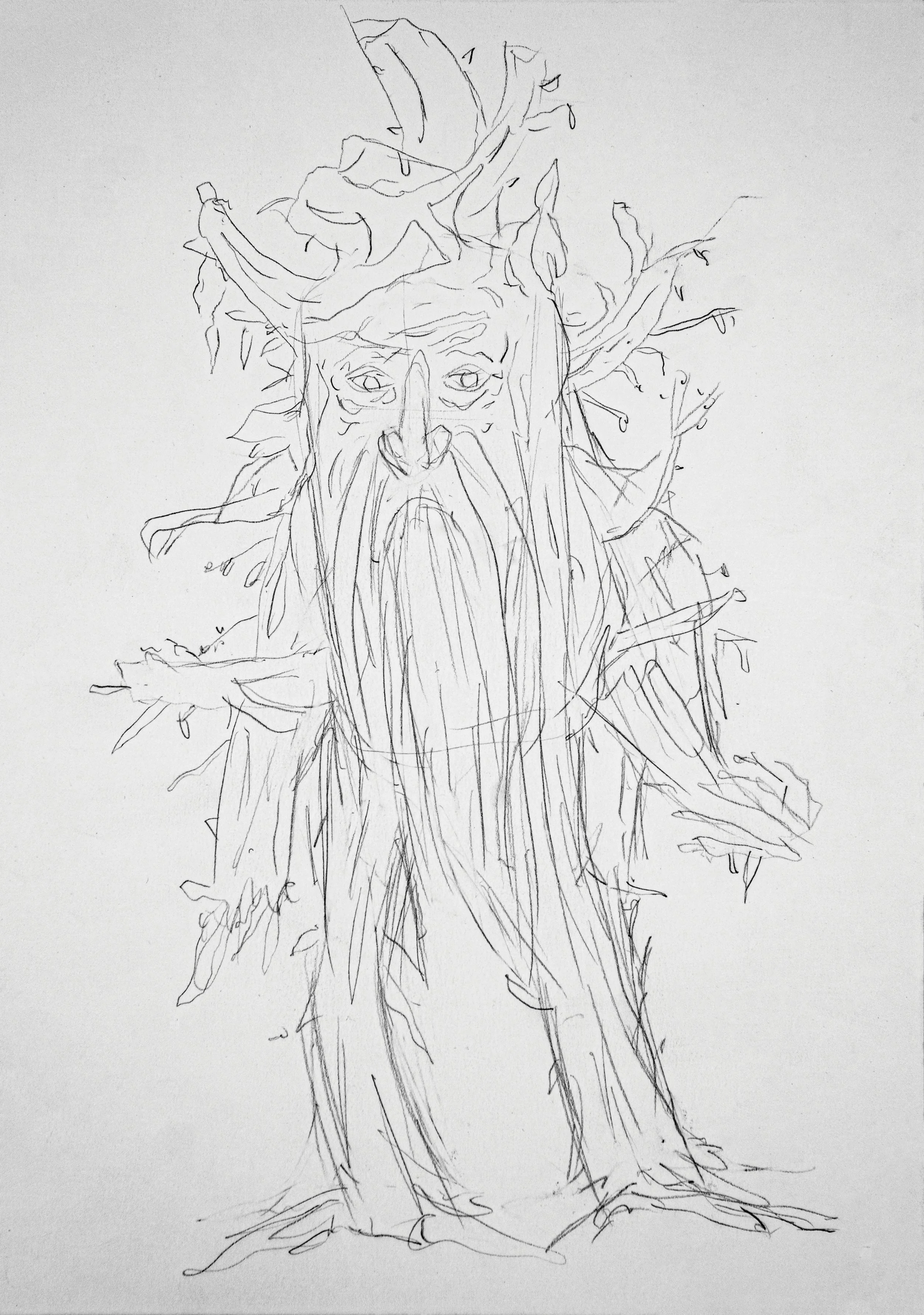 Treebeard Sketch