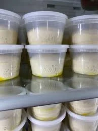 Artisan Pizza Dough – Home Oven