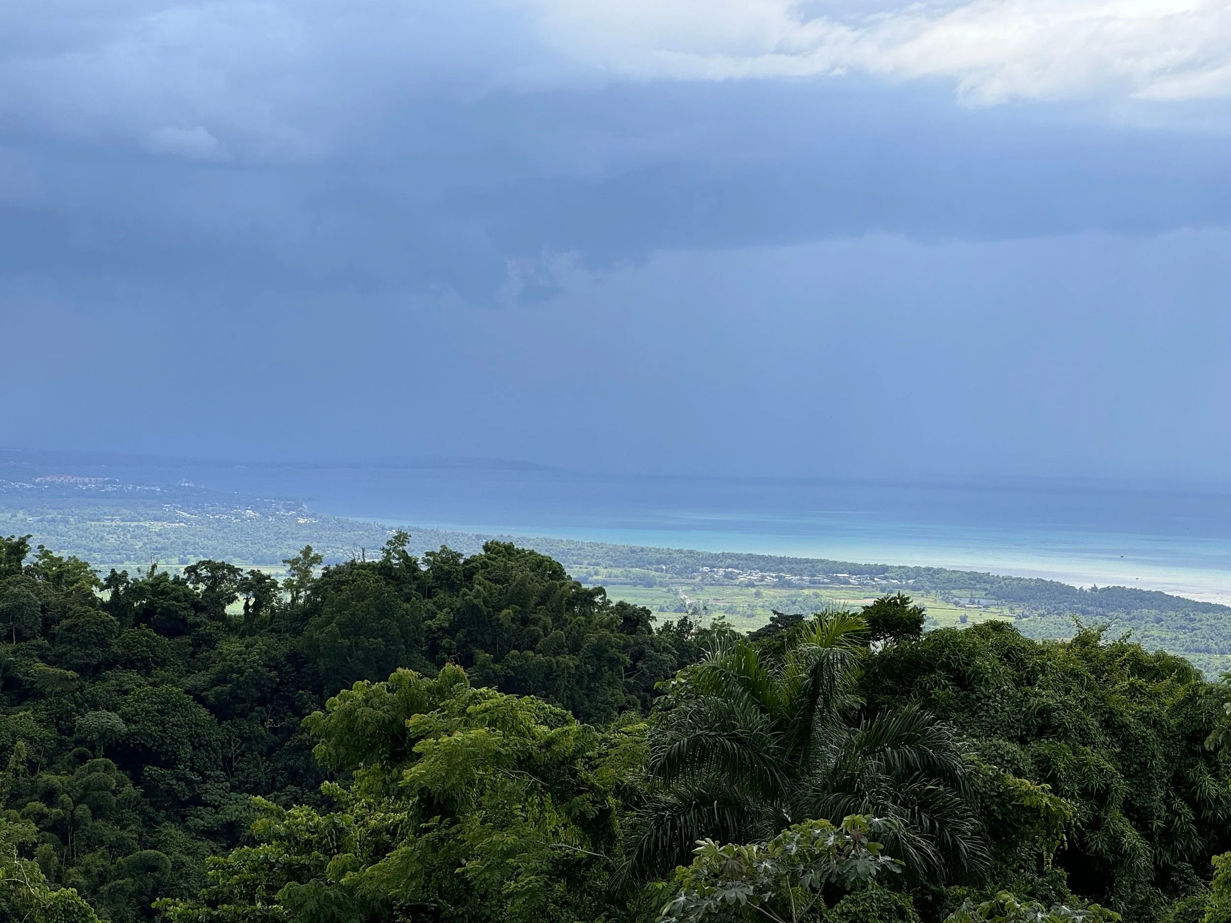 Growth journey for businesses in Puerto Rico and the Caribbean