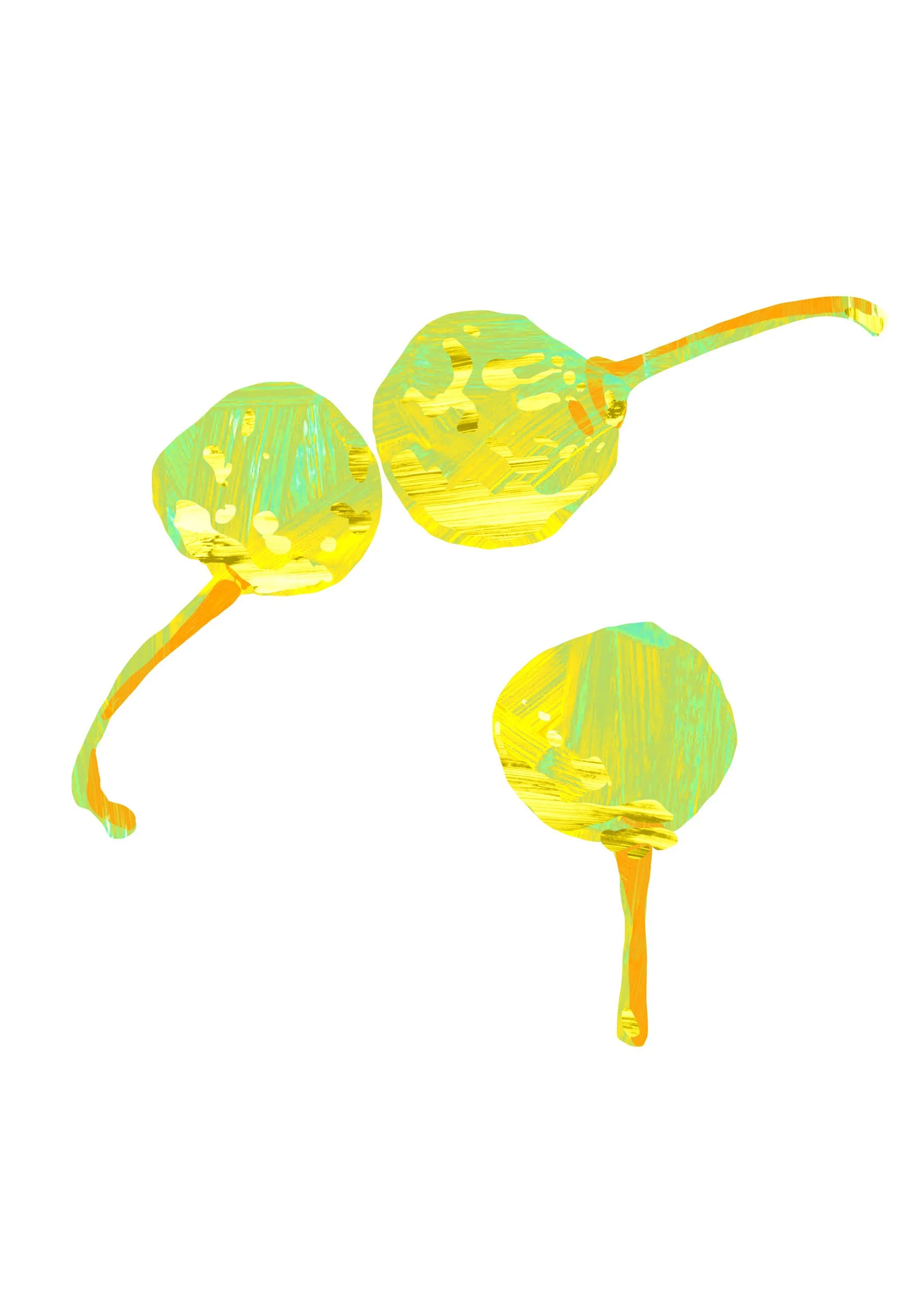Gold-Gelbbeere.jpg