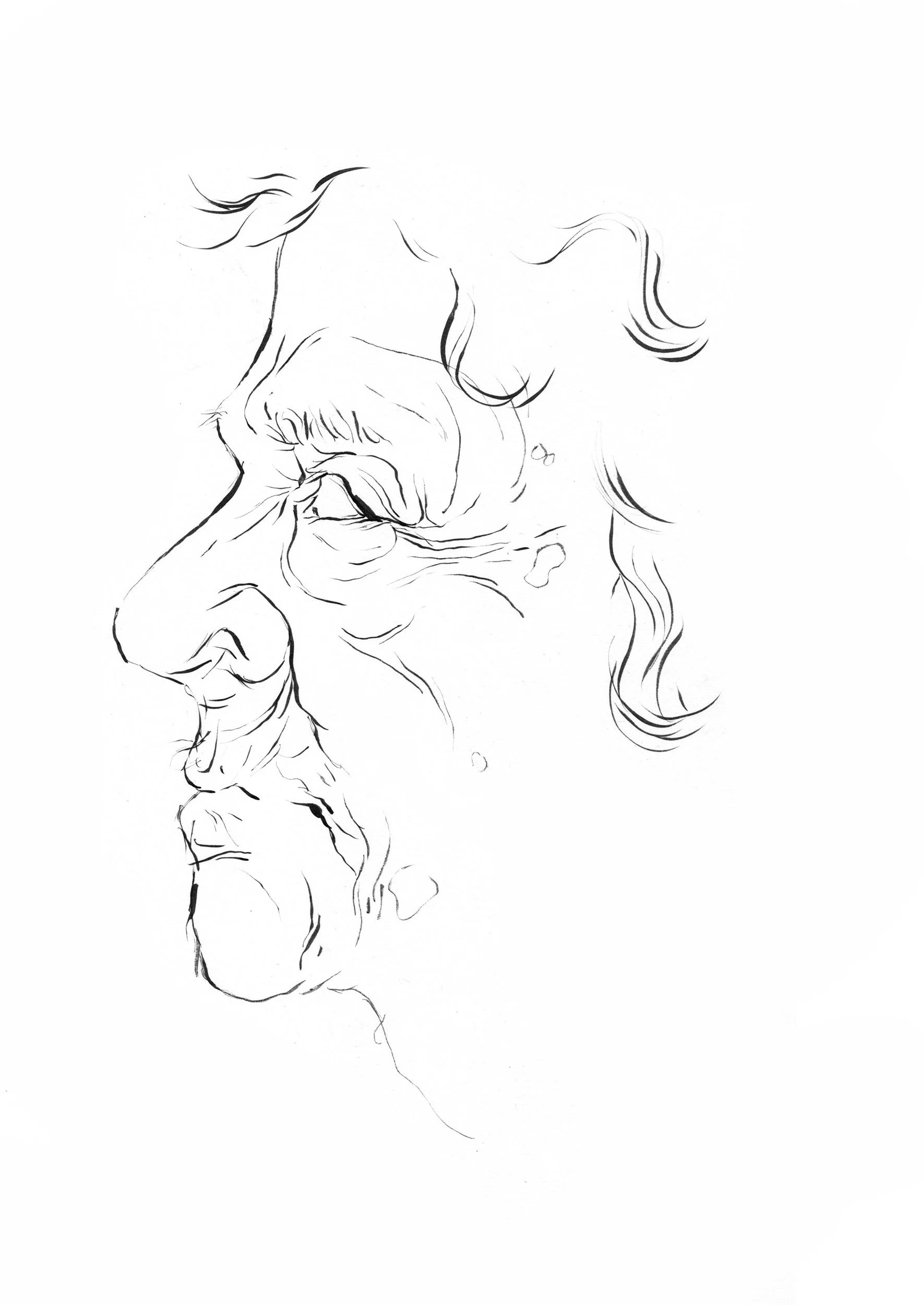 Rosental-Paula.jpg
