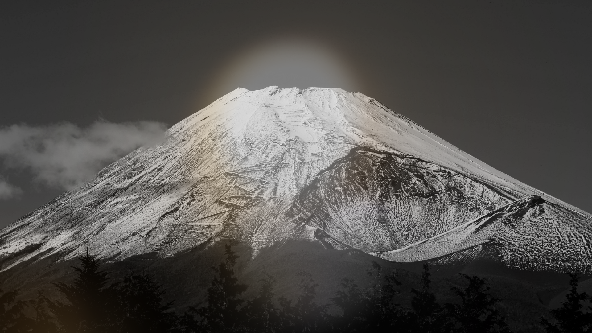 Mount Fuji with snow-covered peak and dark sky, silhouette of trees in the foreground.
