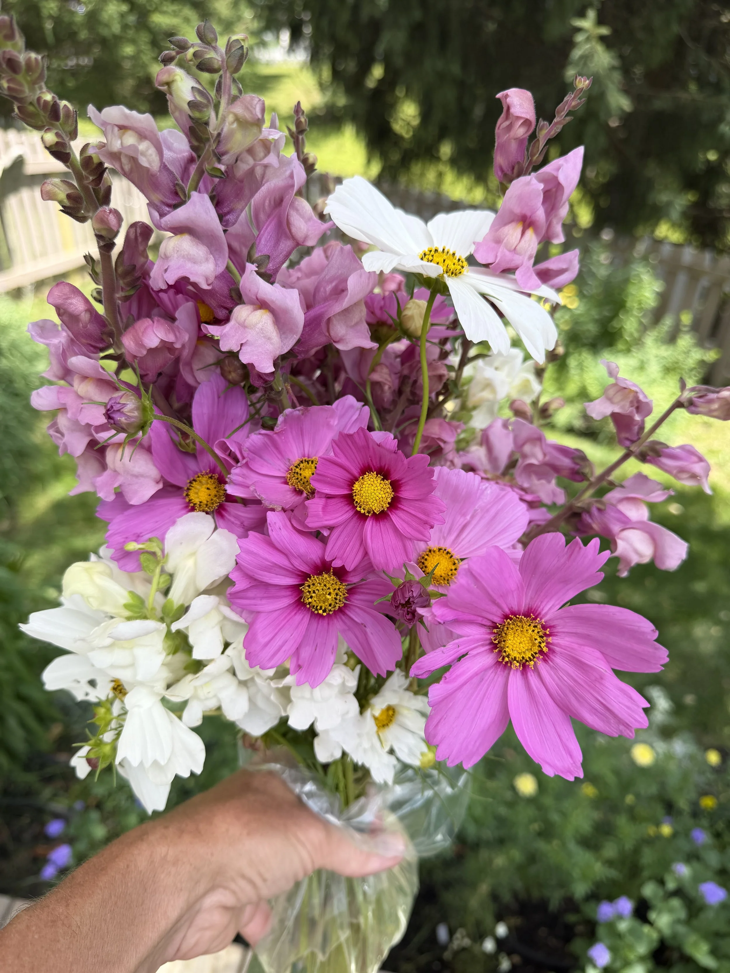 IMG_6528.jpeg