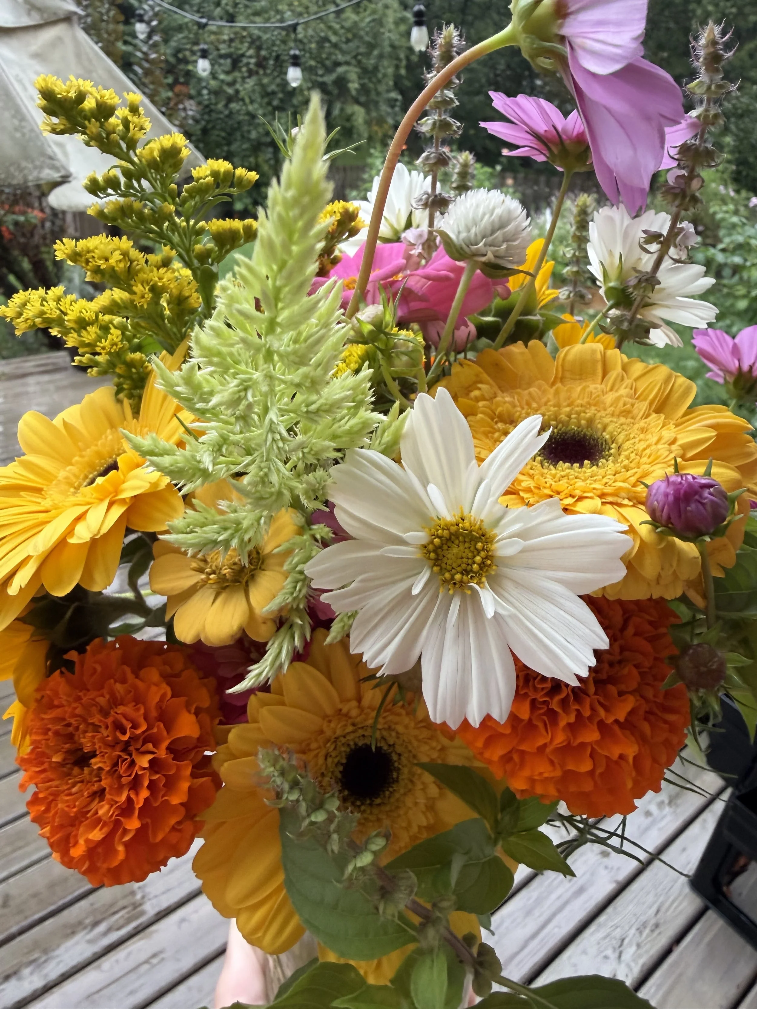 IMG_0140.jpeg