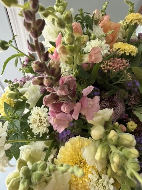 IMG_6090.jpeg