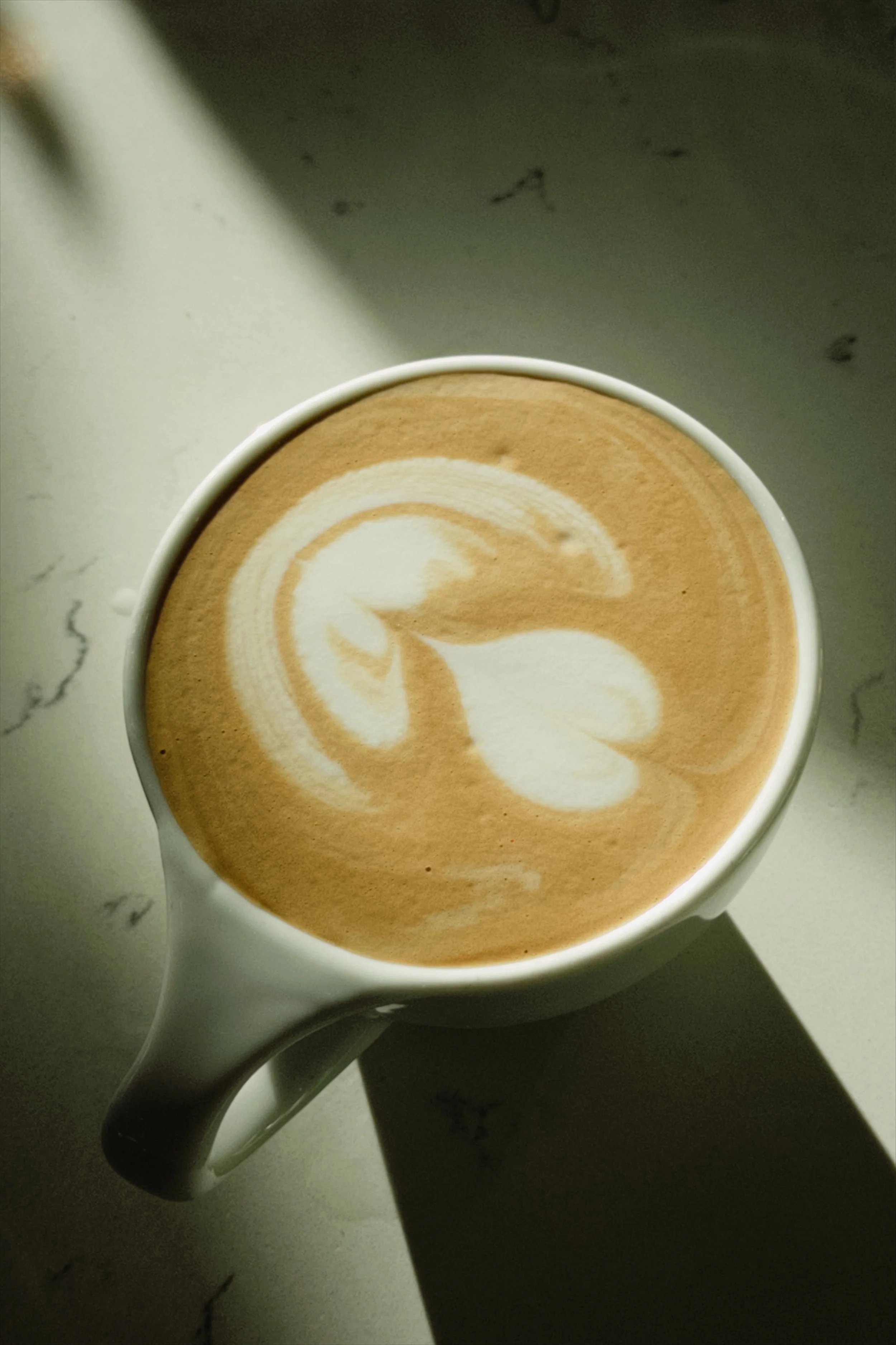 Locally roasted coffee in Denver. Coffee shop in Capitol Hill, Denver, Colorado.