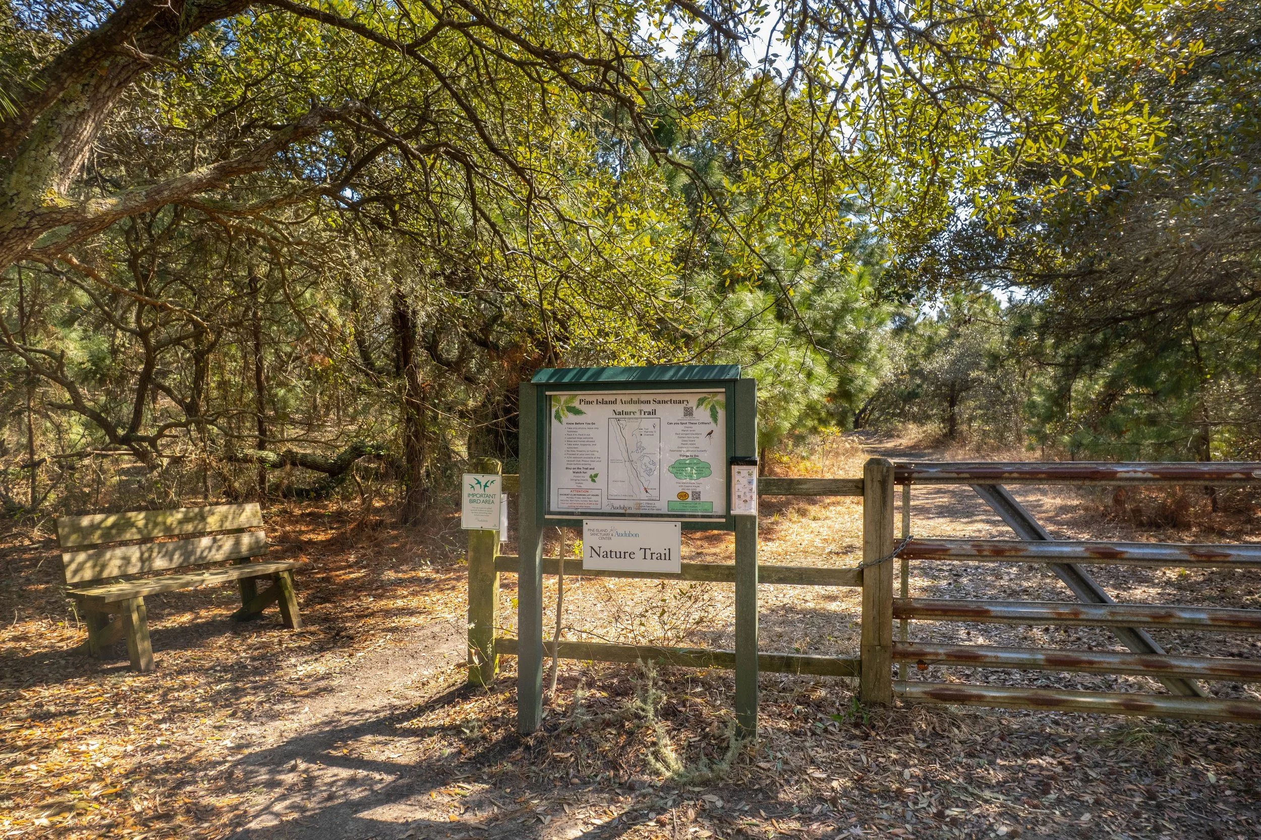 126-print-Pine-Island-Nature-Trail.jpg