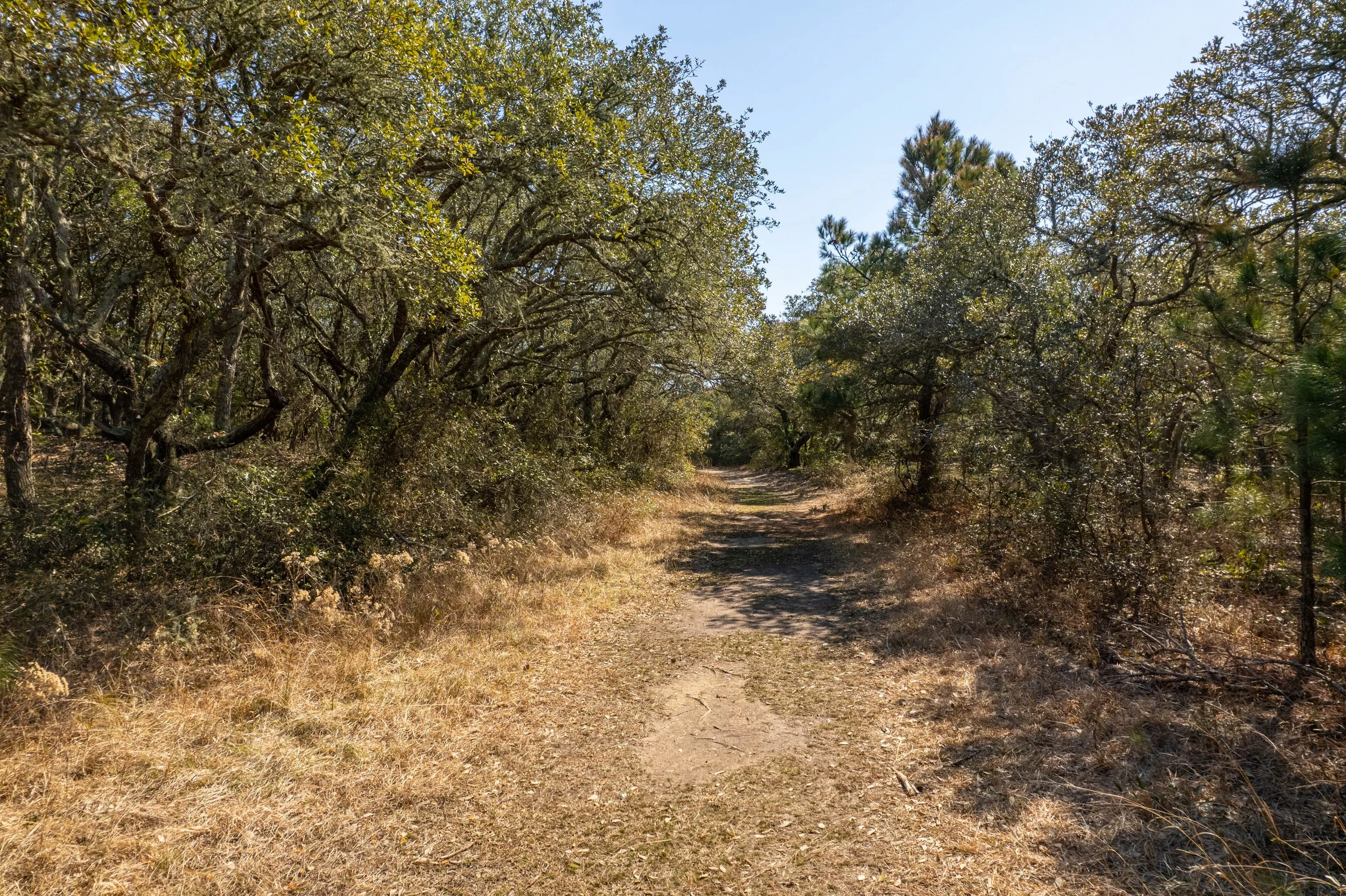 128-print-Pine-Island-Nature-Trail-V3.jpg