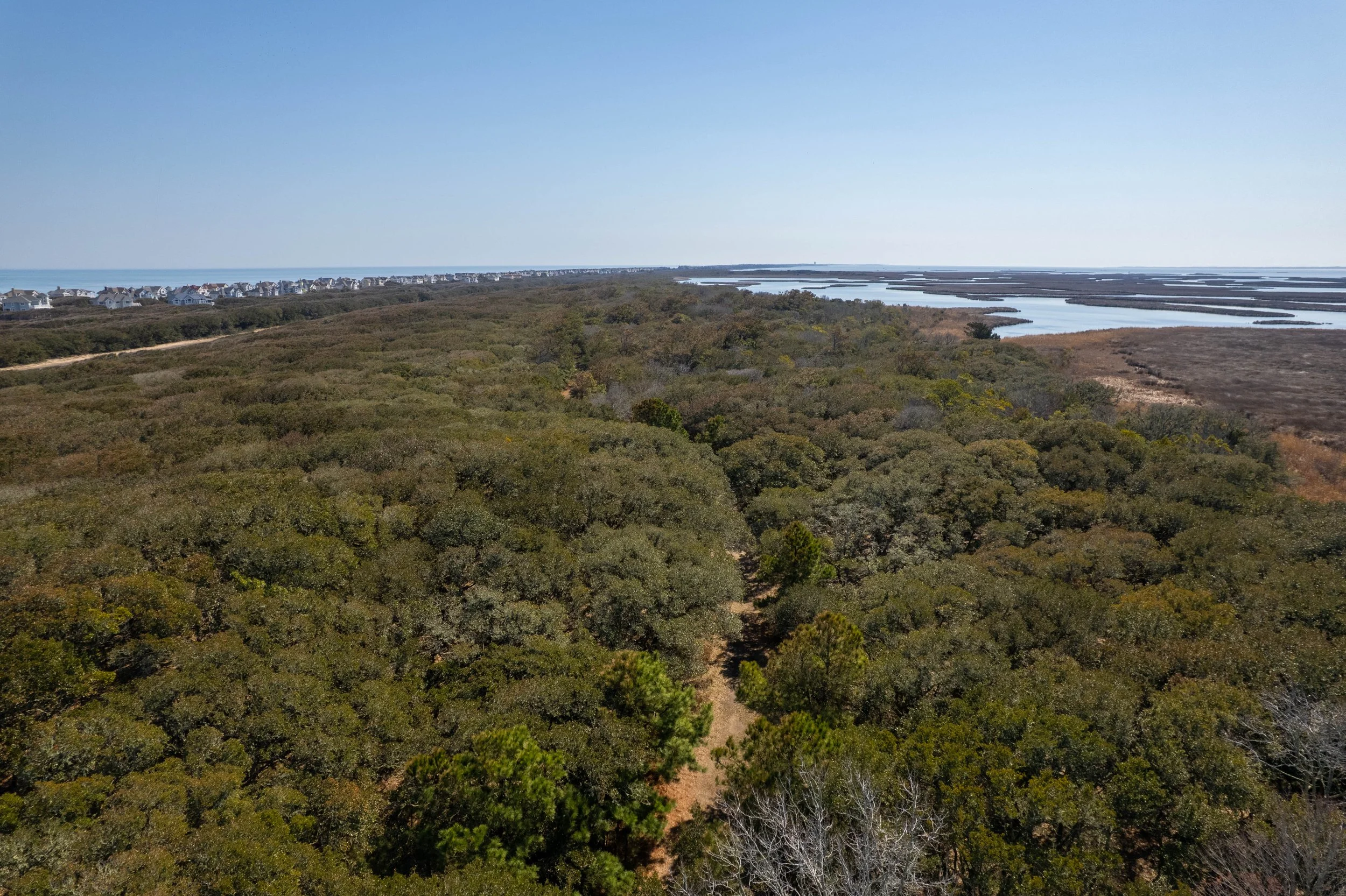 127-print-Pine-Island-Nature-Trail-V2.jpg