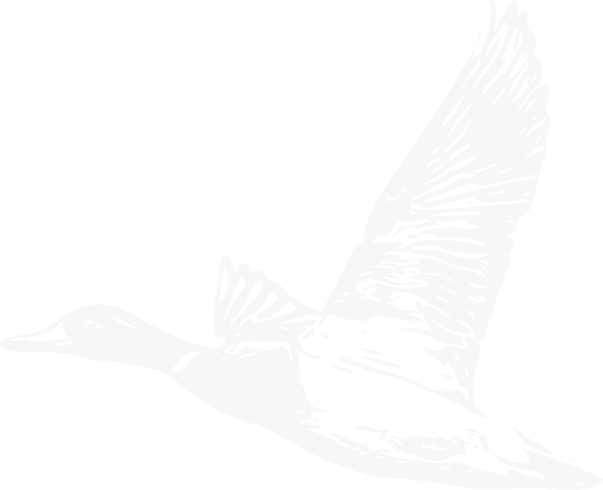 Ducks Landing
