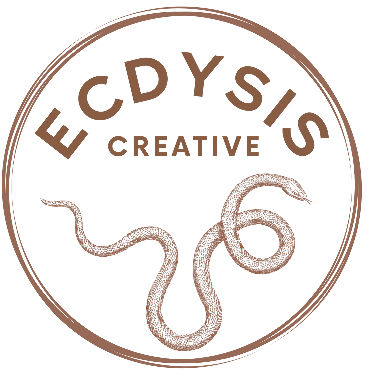 ecdysis creative - transformational storytelling