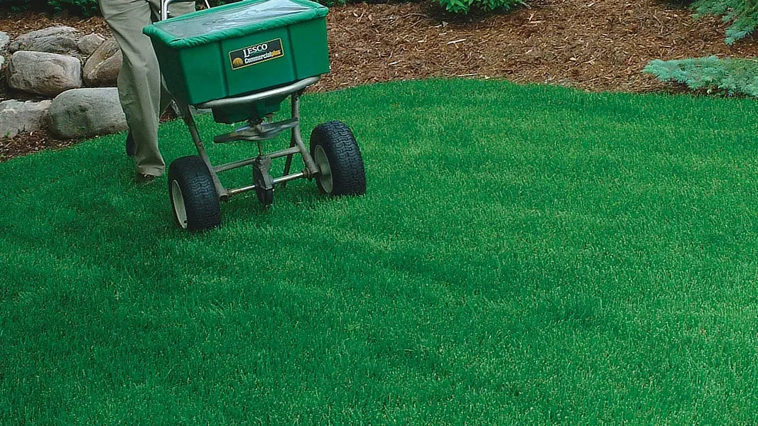 Weed Control & Fertilization Service for residential lawns.