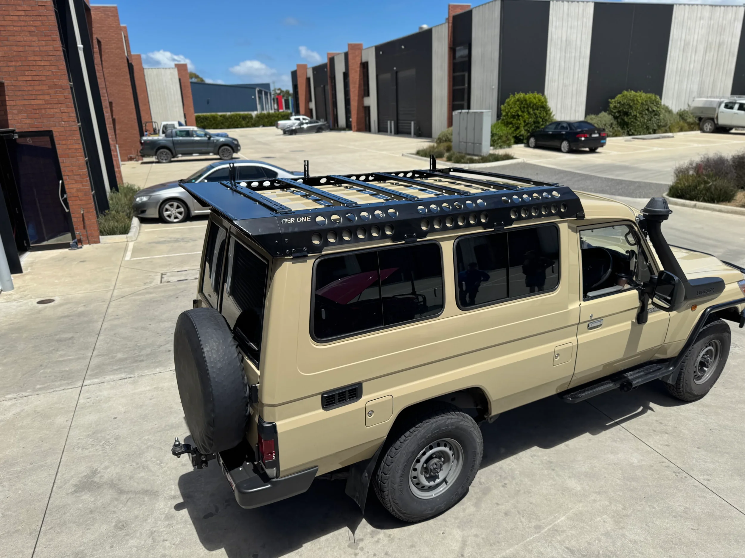 Tan with LPLD & Wing no.2.webp