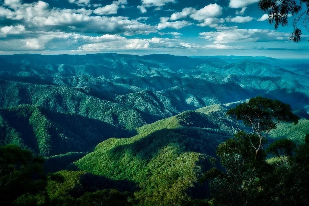 🎪 Off to our first market tomorrow in @bellingencommunity , NSW. 
A few hours up north from Toorumbee. Always a pleasure to road trip around the waterfall way, and witness some of the nicest forests in the state. 

We have been working hard at getti